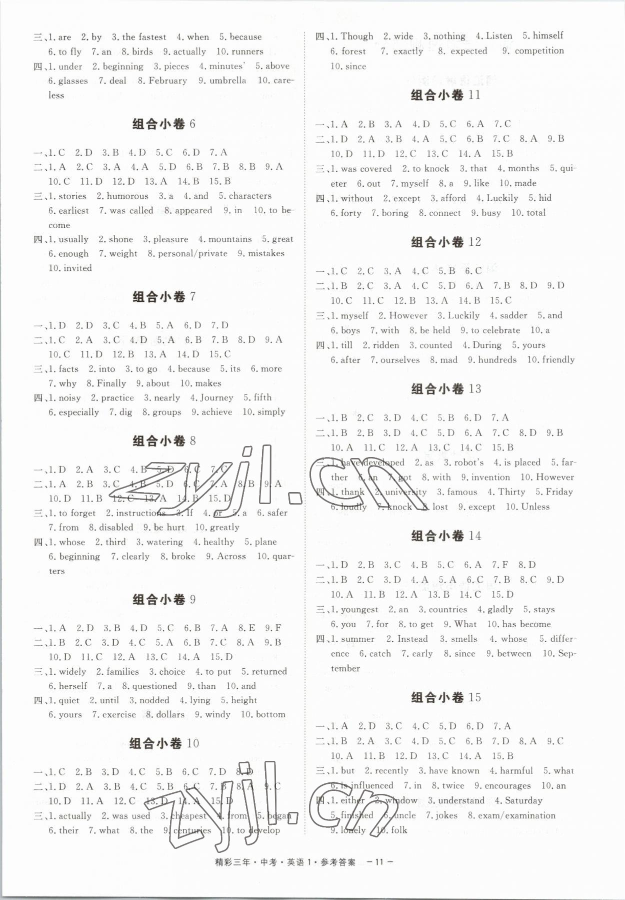 2023年精彩三年英語(yǔ)中考杭州專(zhuān)版&nbsp;第11頁(yè)