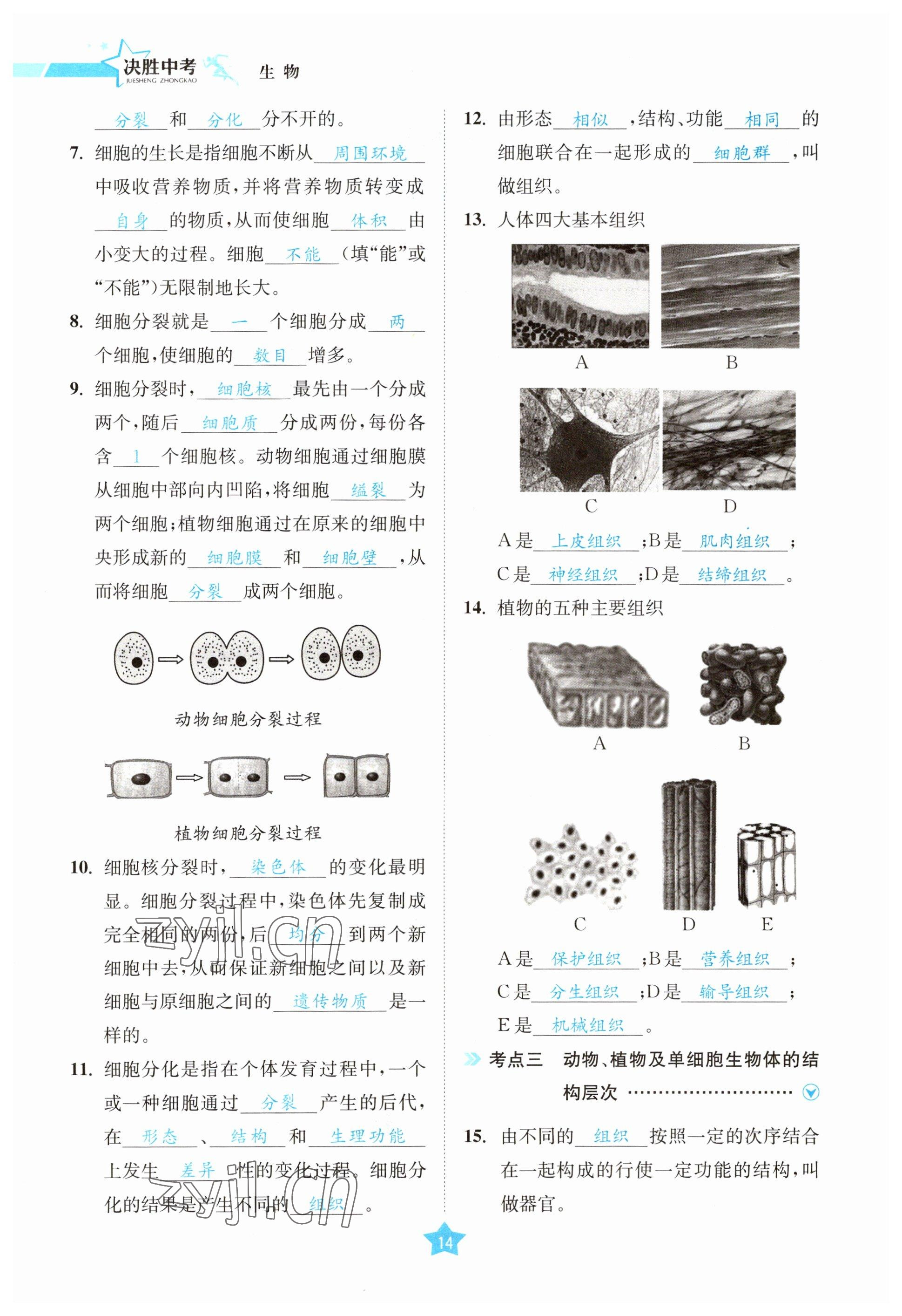 2023年決勝中考生物南充專版 參考答案第38頁