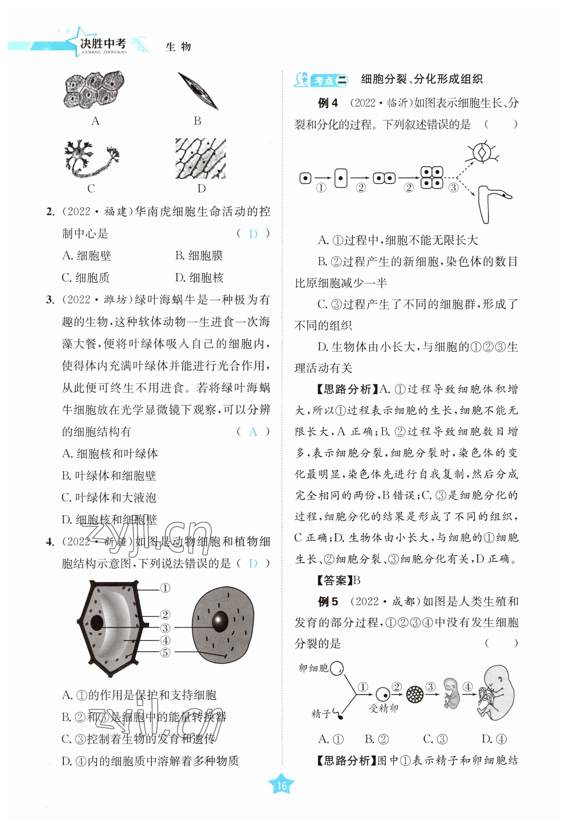 2023年決勝中考生物南充專版 參考答案第44頁(yè)