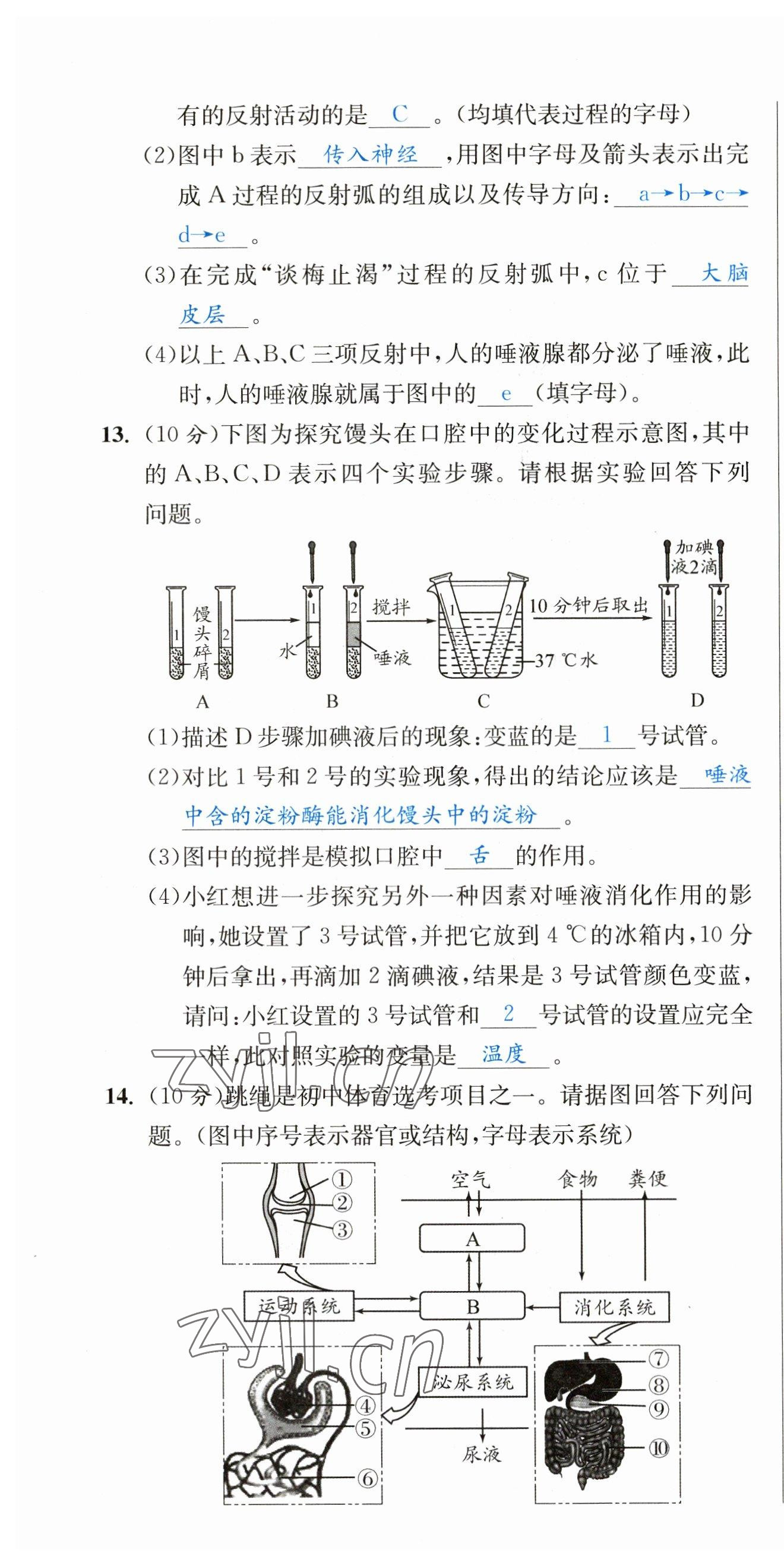 2023年決勝中考生物南充專版 參考答案第45頁