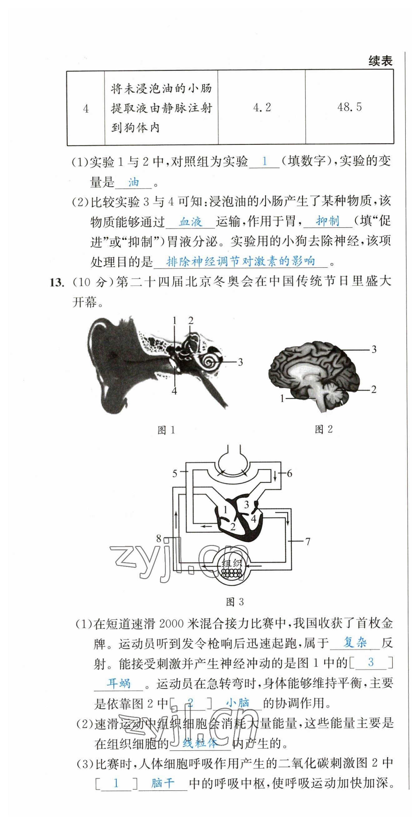 2023年決勝中考生物南充專版 參考答案第63頁