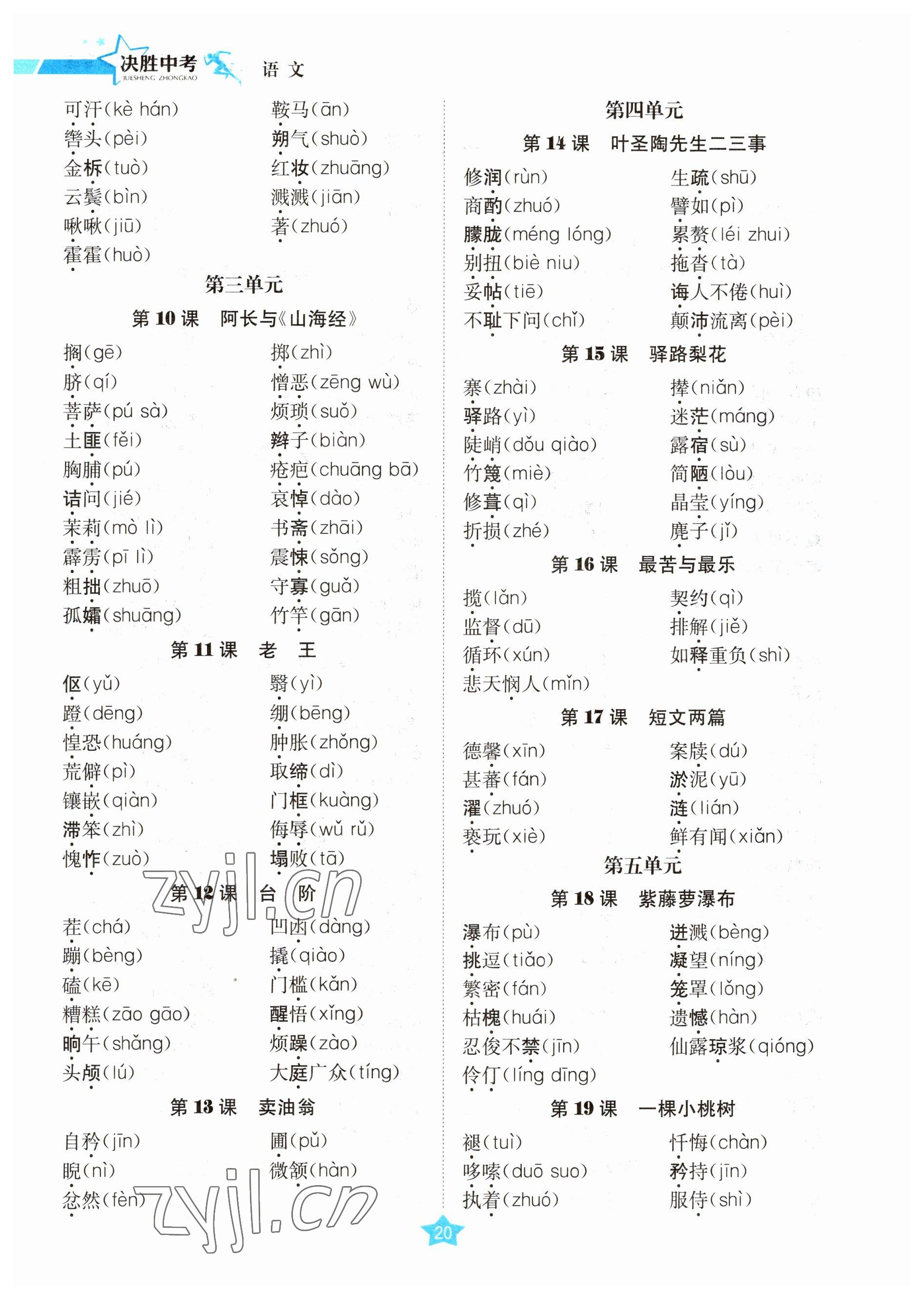 2023年决胜中考语文南充专版 参考答案第42页