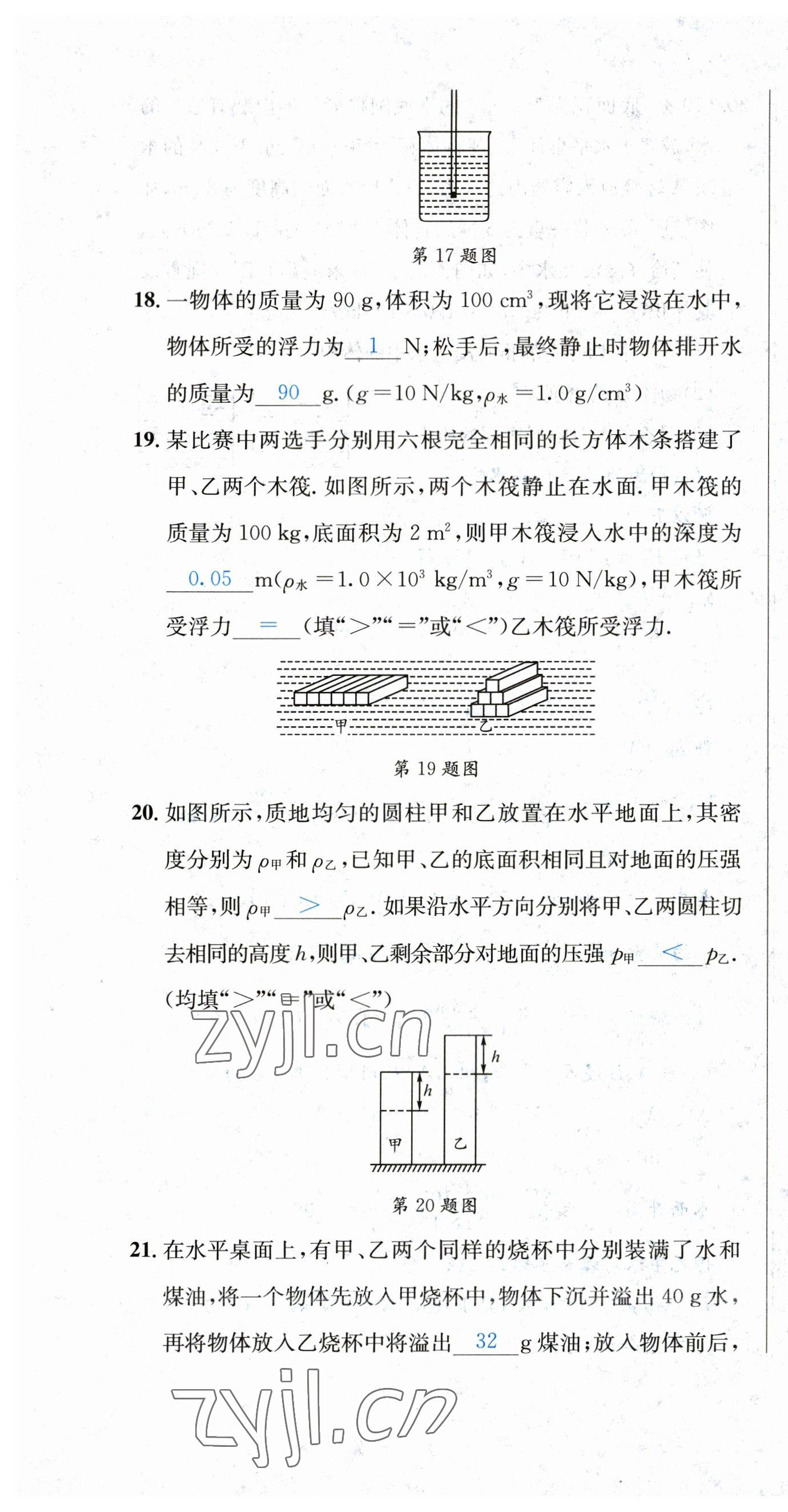 2023年决胜中考物理南充专版 第31页