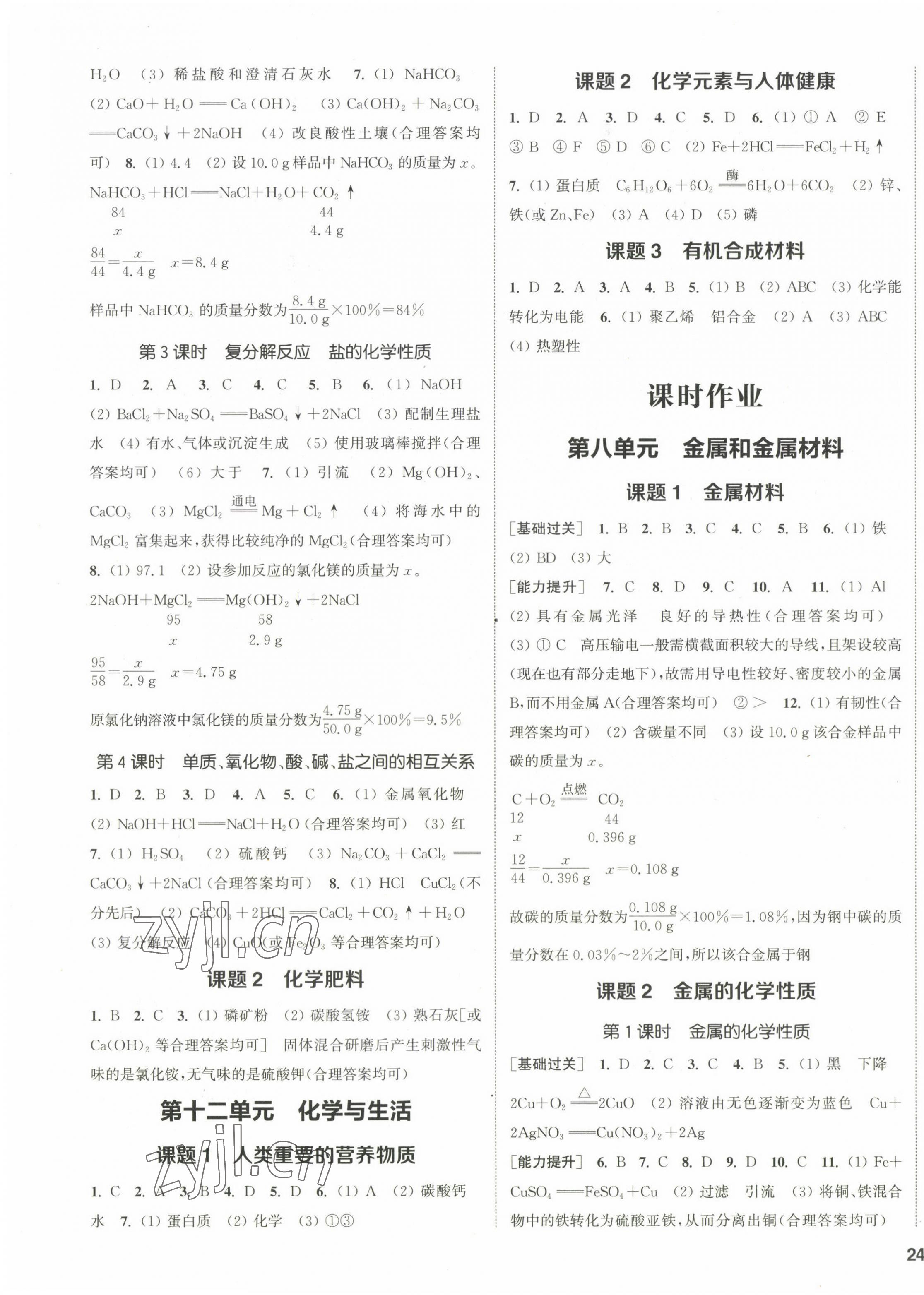 2023年通城學(xué)典課時(shí)作業(yè)本九年級(jí)化學(xué)下冊(cè)人教版 第3頁