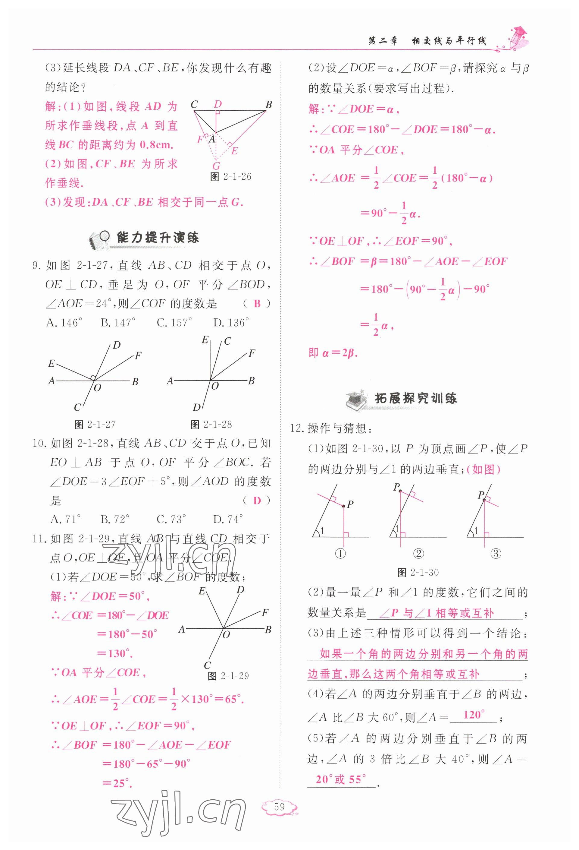 2023年啟航新課堂七年級數(shù)學下冊北師大版 參考答案第59頁