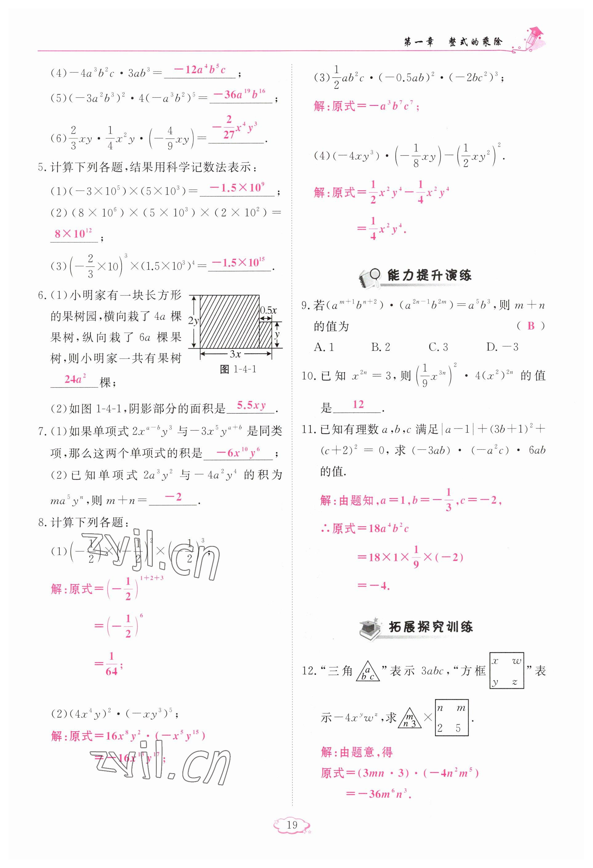 2023年啟航新課堂七年級數(shù)學(xué)下冊北師大版 參考答案第19頁