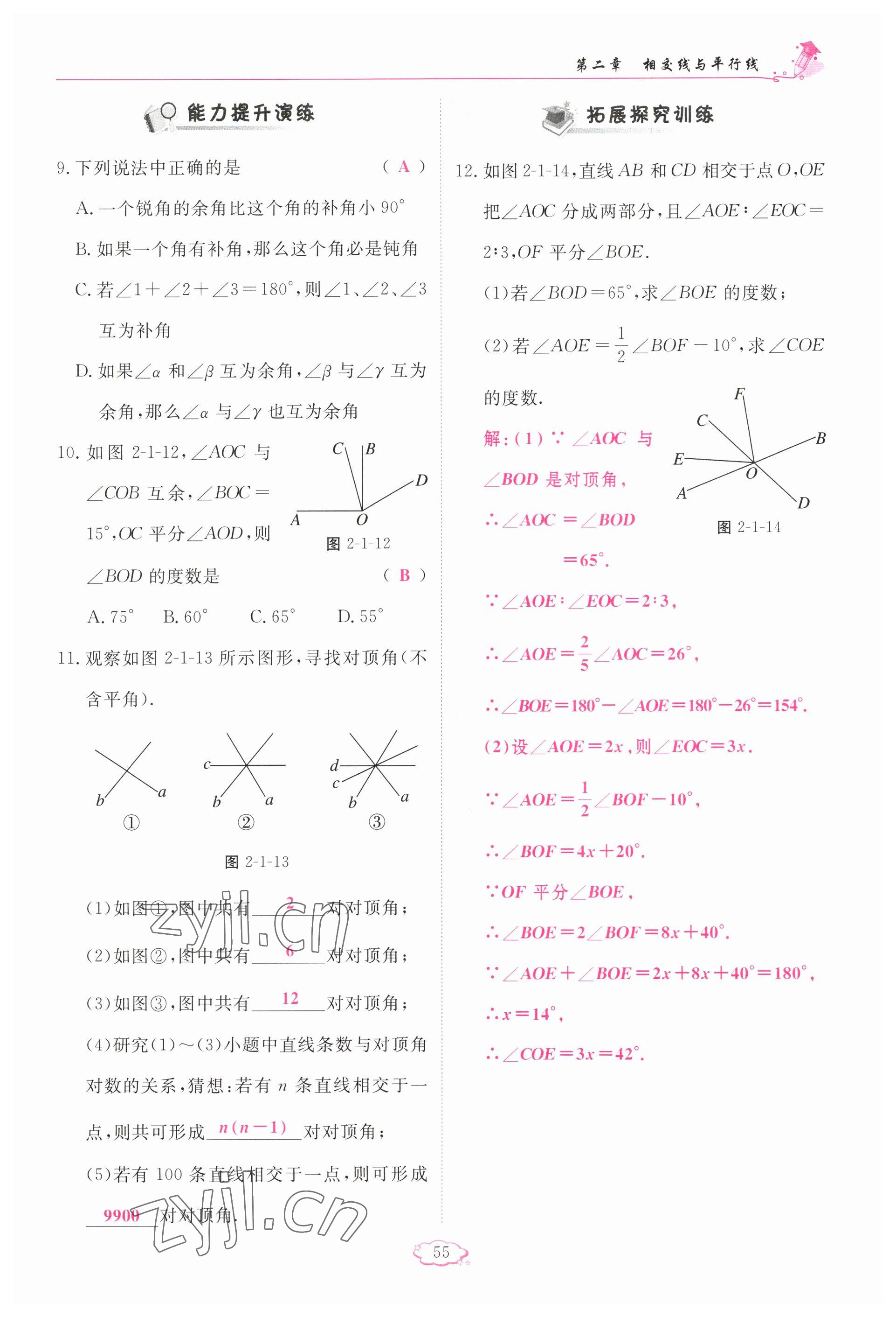 2023年啟航新課堂七年級數(shù)學(xué)下冊北師大版 參考答案第55頁