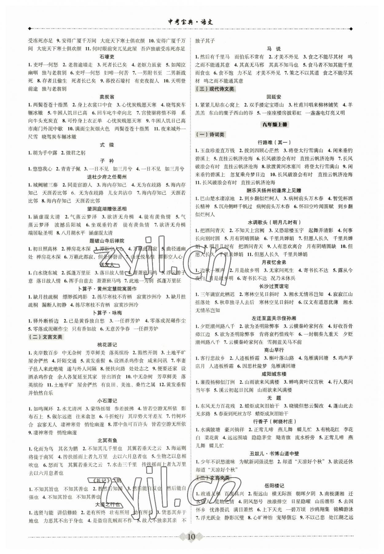 2023年新课标中考宝典语文浙江专版 参考答案第10页