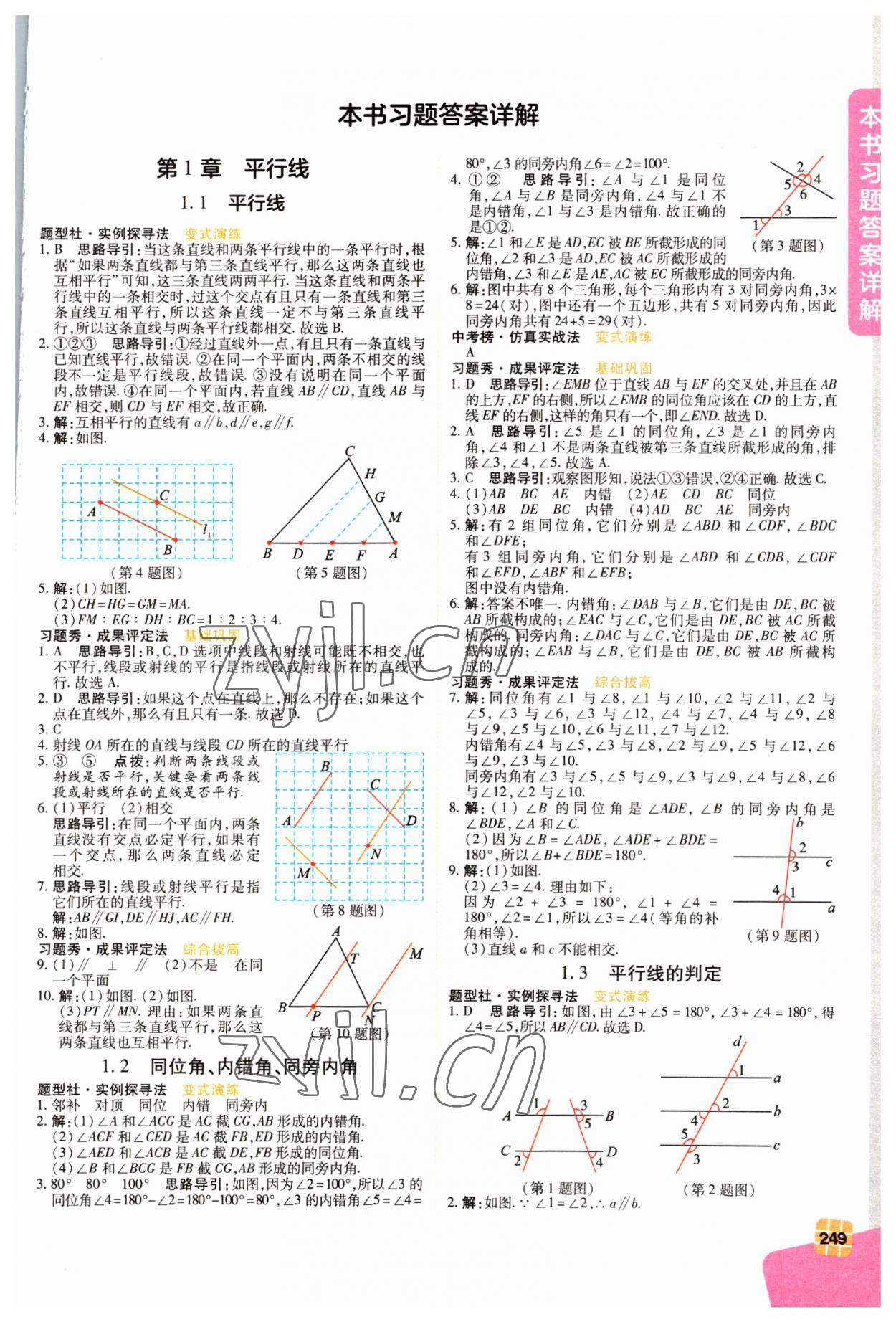 2023年倍速學(xué)習(xí)法七年級數(shù)學(xué)下冊浙教版 第1頁