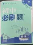 2023年初中必刷题七年级数学下册湘教版