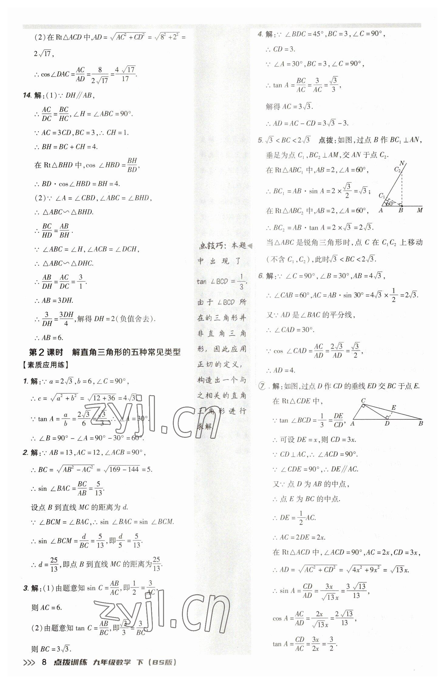 2023年点拨训练九年级数学下册北师大版 参考答案第8页