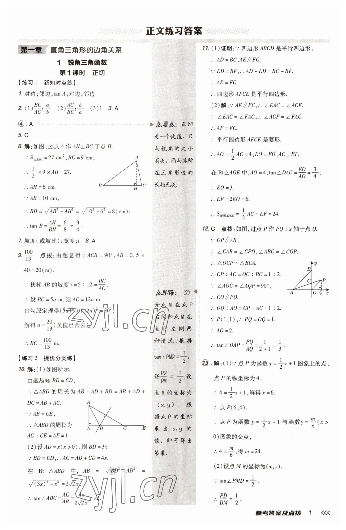 2023年点拨训练九年级数学下册北师大版 参考答案第1页