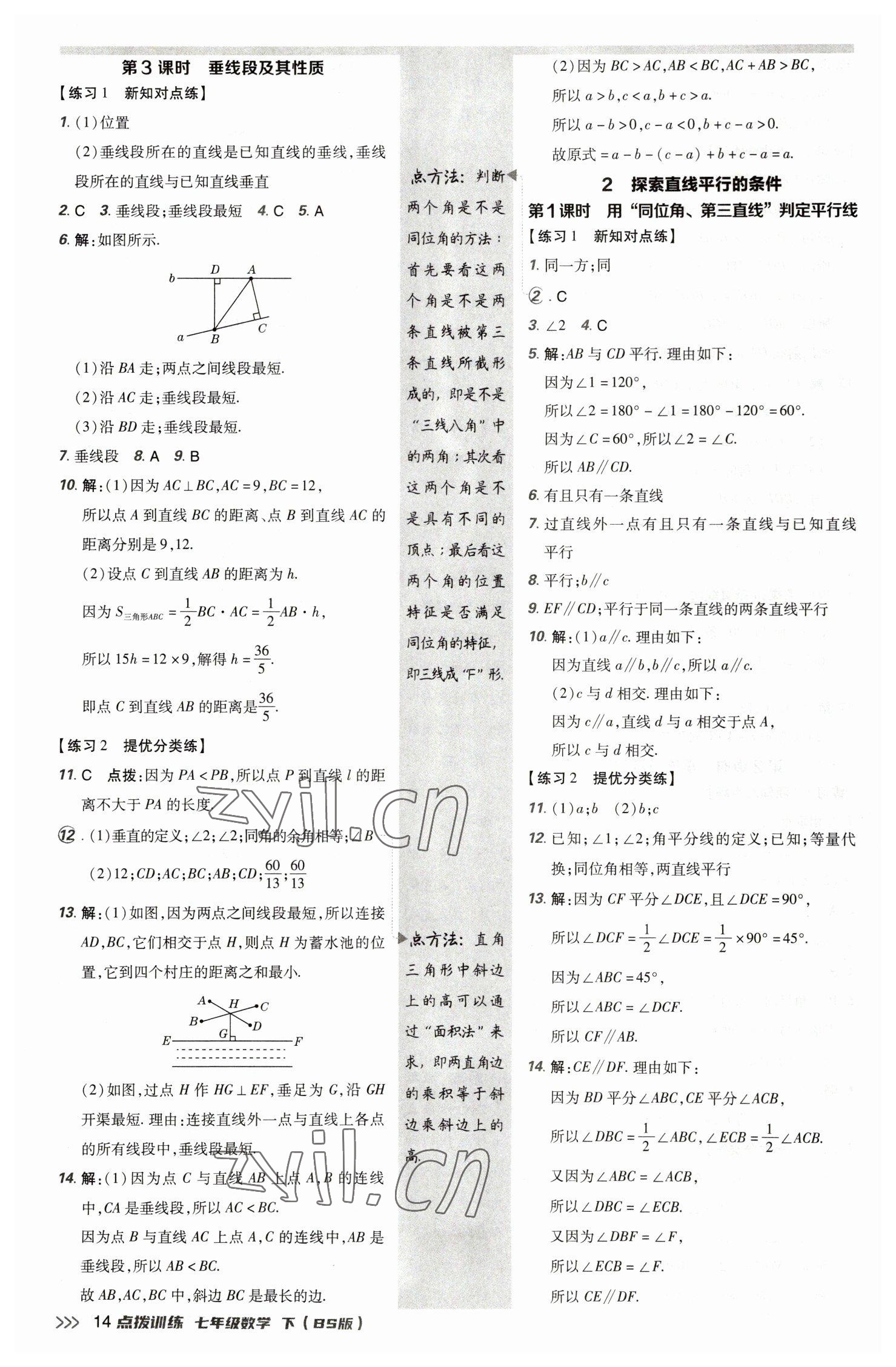 2023年點(diǎn)撥訓(xùn)練七年級(jí)數(shù)學(xué)下冊北師大版 參考答案第13頁