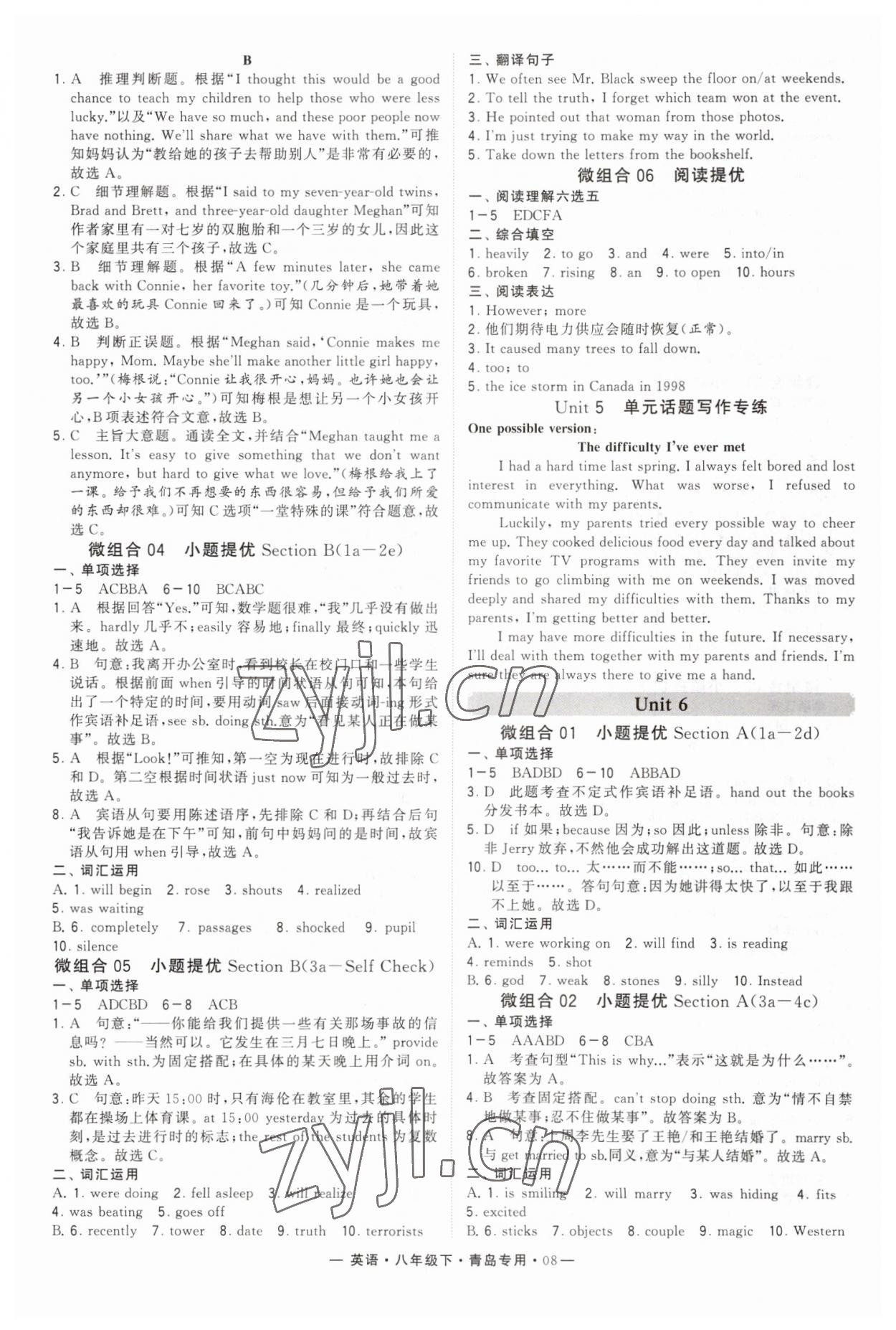 2023年學(xué)霸組合訓(xùn)練八年級英語下冊人教版青島專版 第8頁