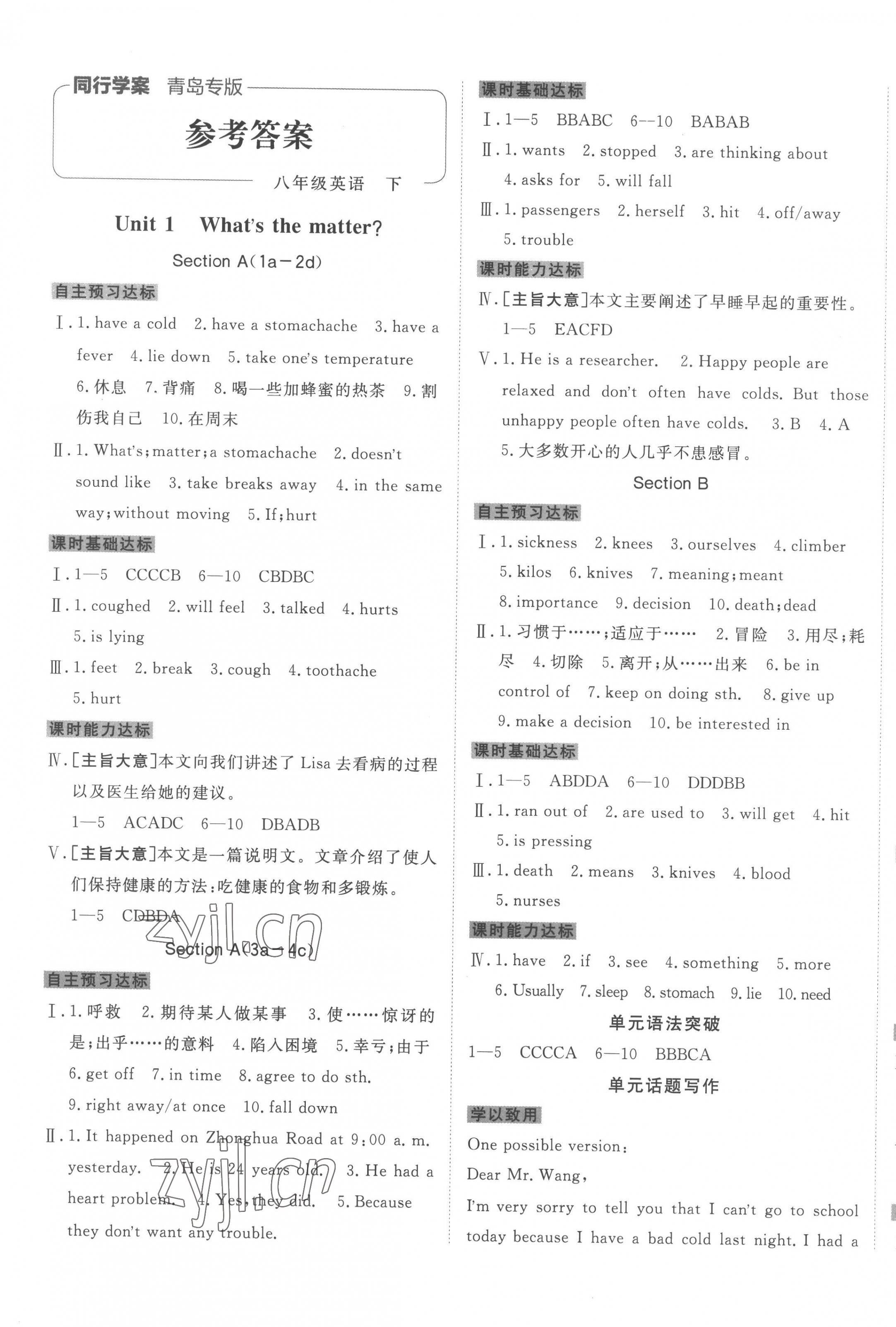 2023年同行学案学练测八年级英语下册人教版青岛专版 第1页