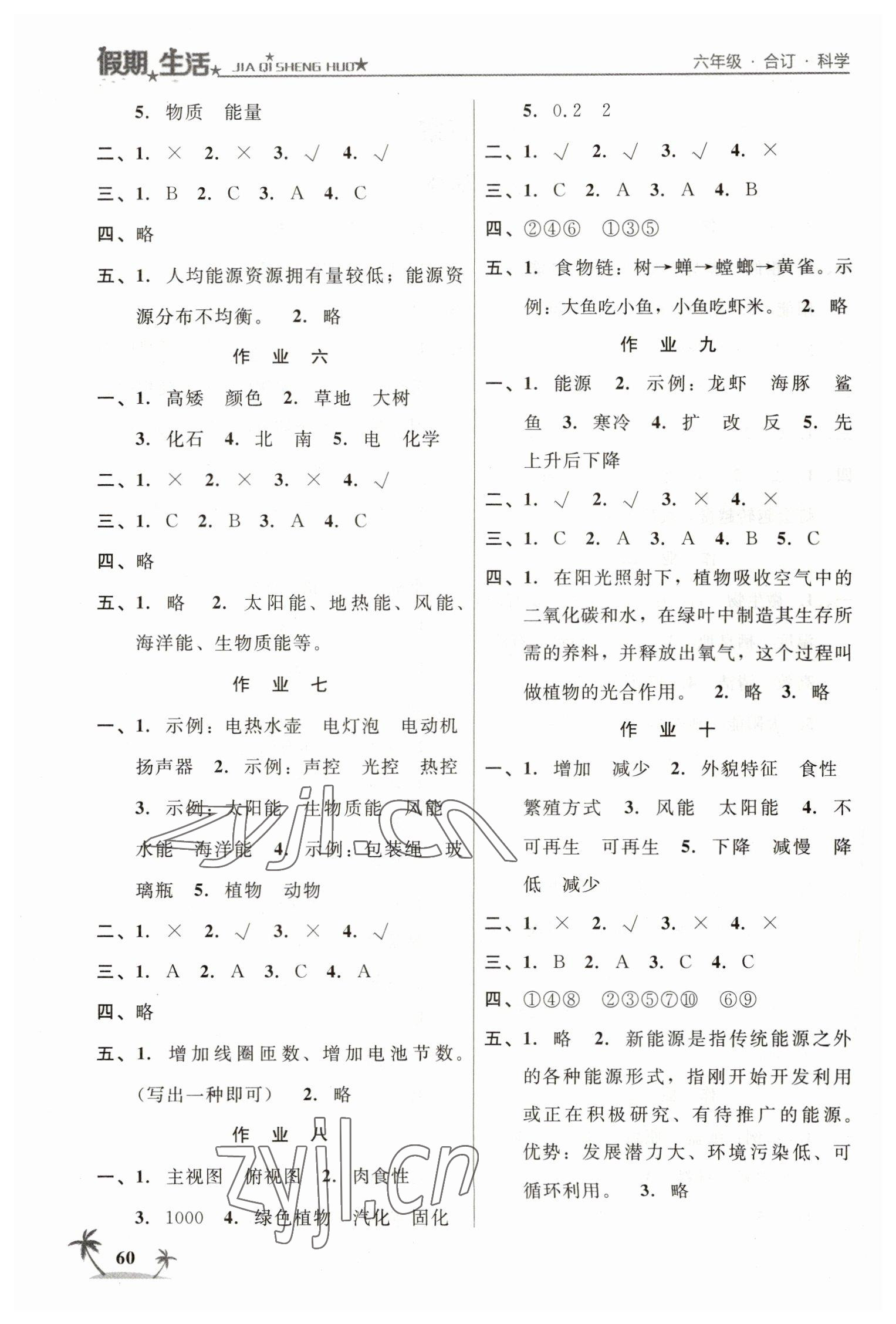 2023年假期生活六年级综合方圆电子音像出版社 第2页