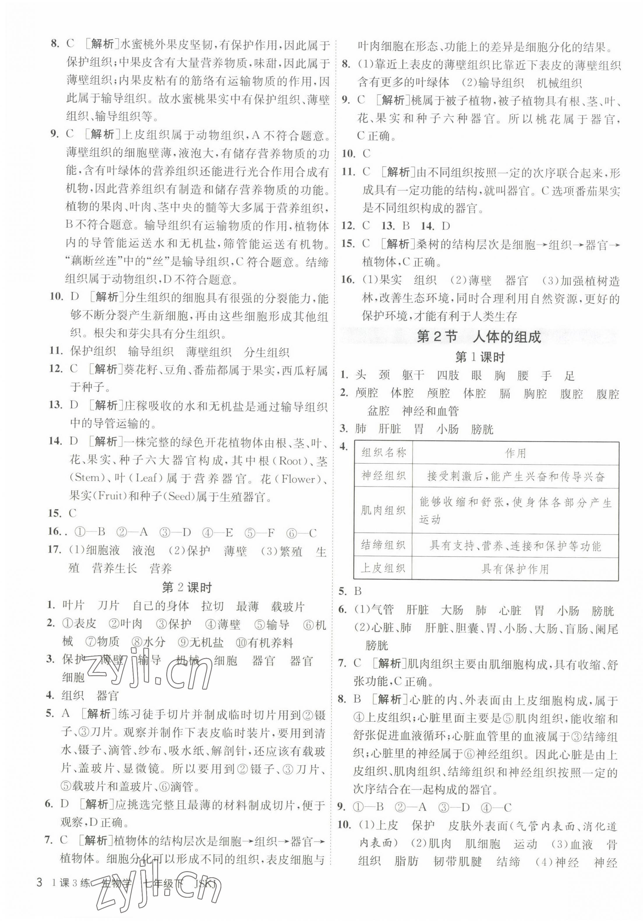 2023年1课3练单元达标测试七年级生物下册苏科版 第3页