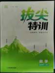 2023年拔尖特訓(xùn)七年級(jí)數(shù)學(xué)下冊(cè)人教版