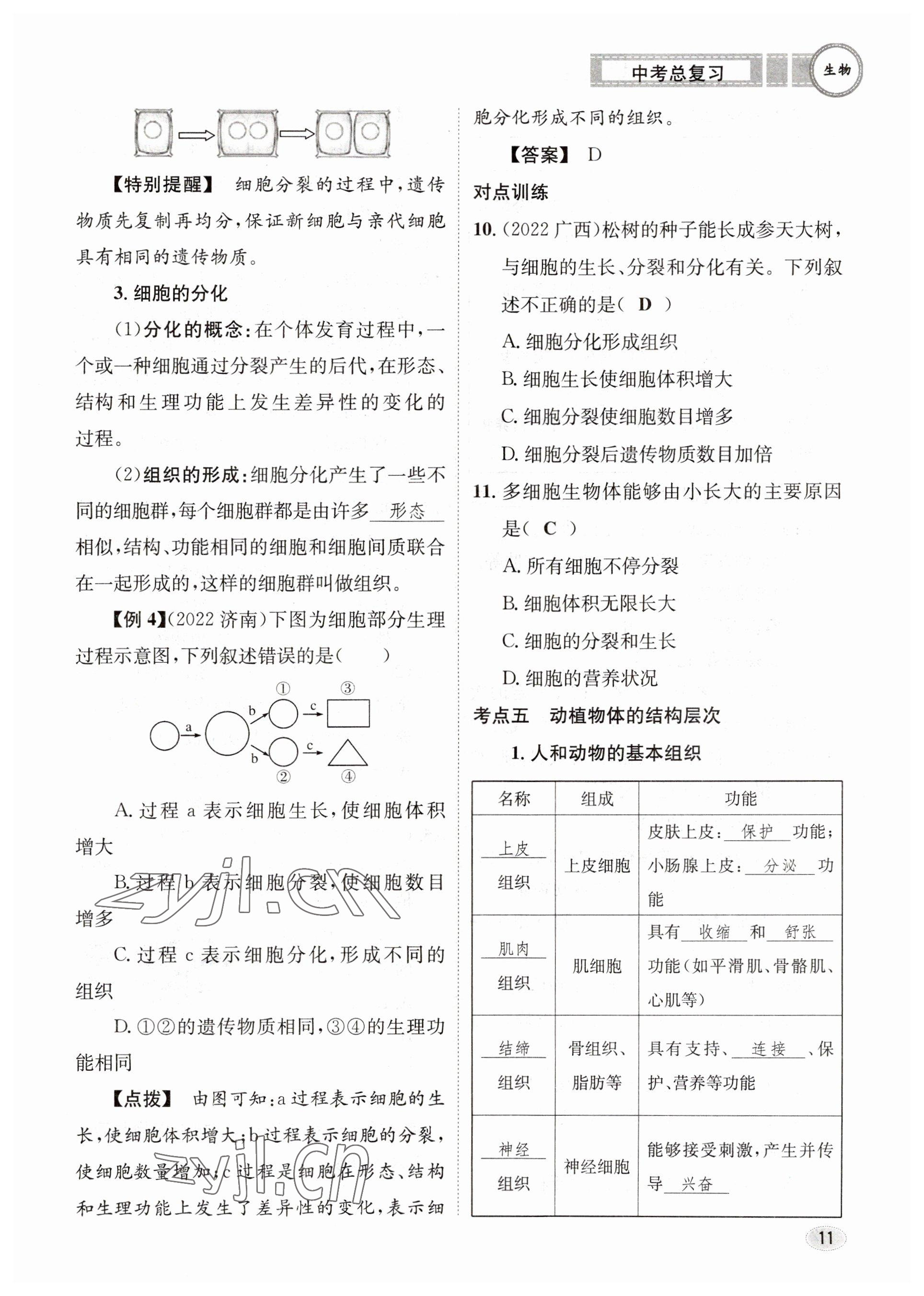 2023年中考總復(fù)習(xí)長江出版社生物 參考答案第11頁