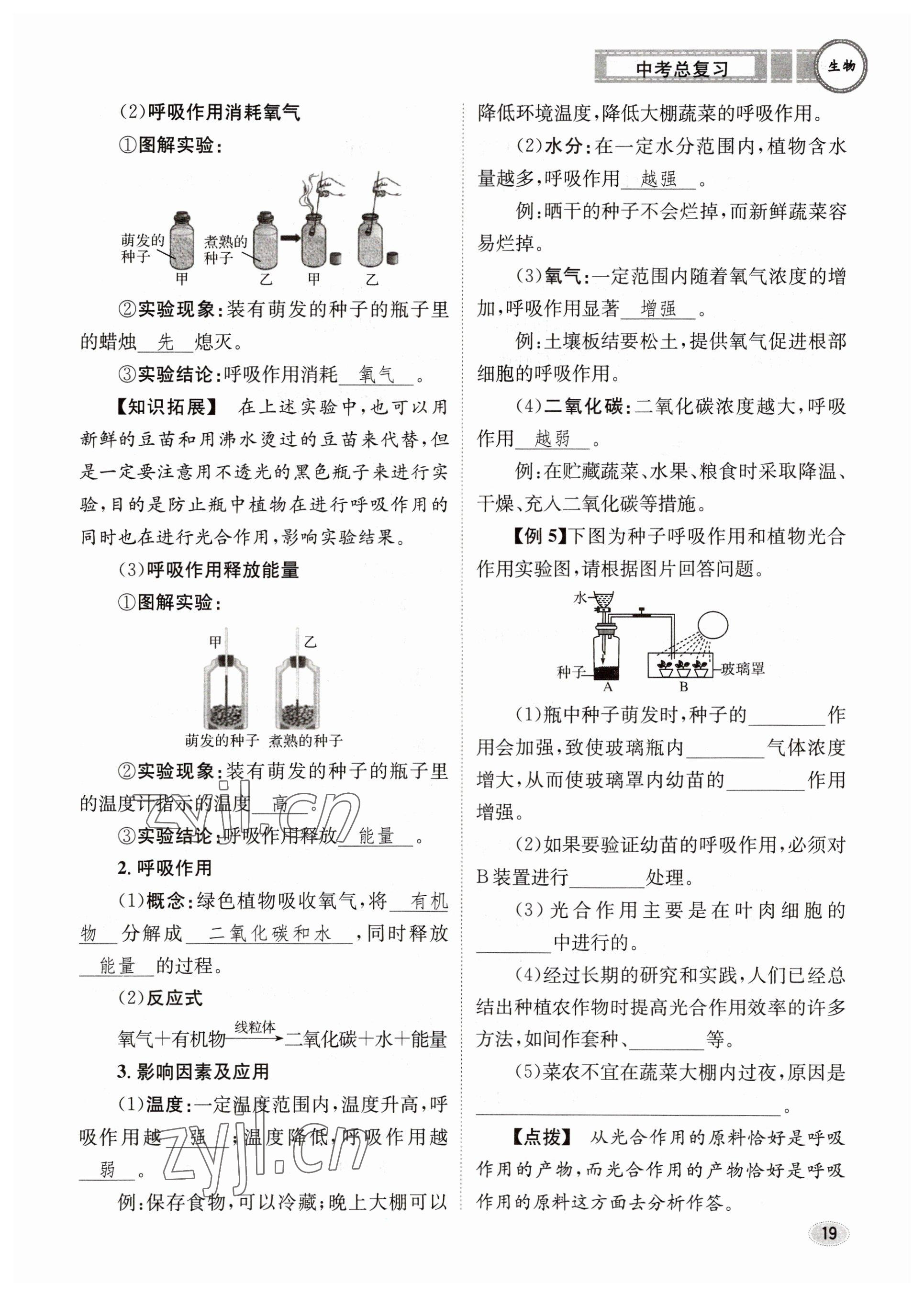 2023年中考總復(fù)習(xí)長江出版社生物 參考答案第19頁