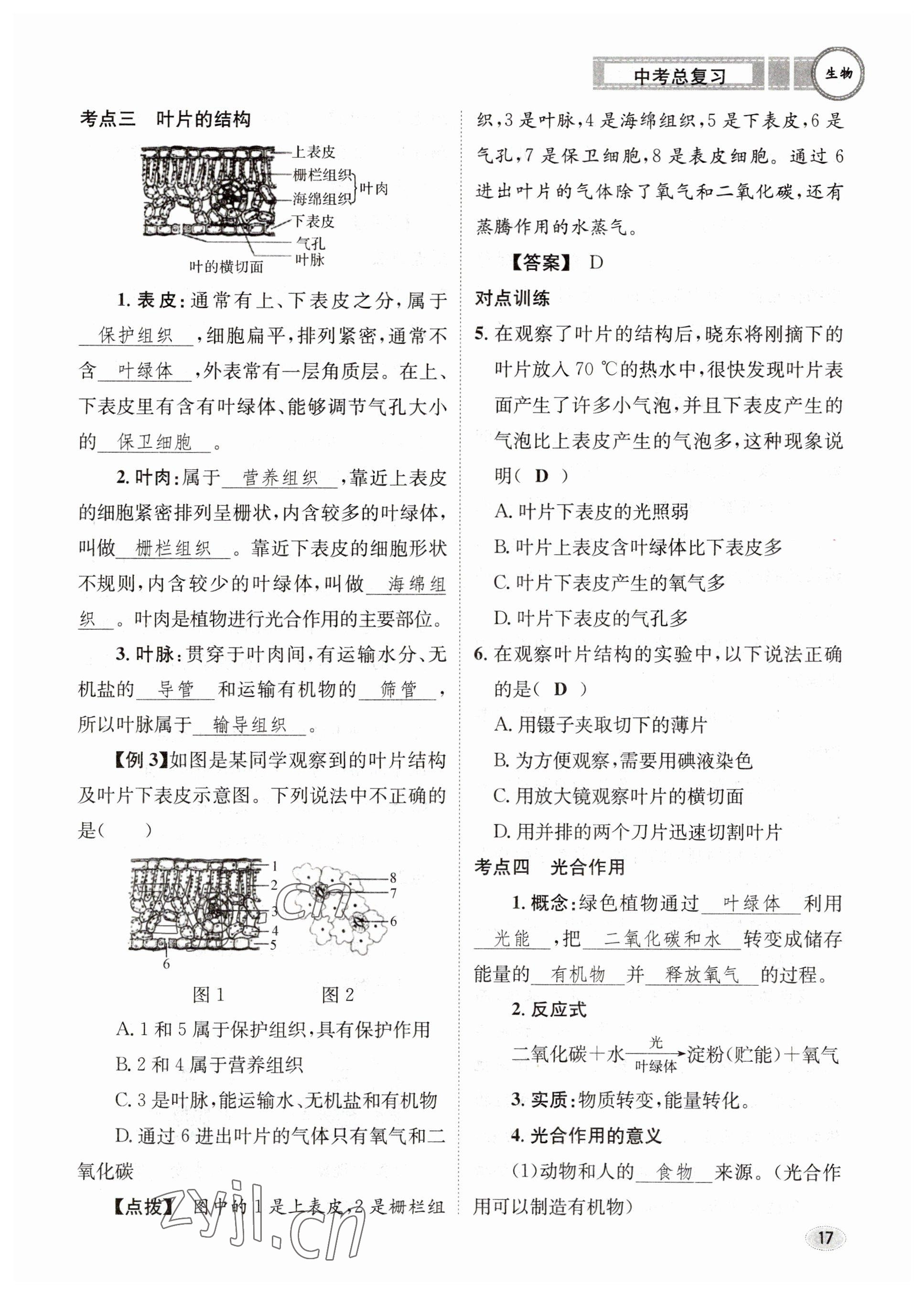 2023年中考總復(fù)習(xí)長江出版社生物 參考答案第17頁