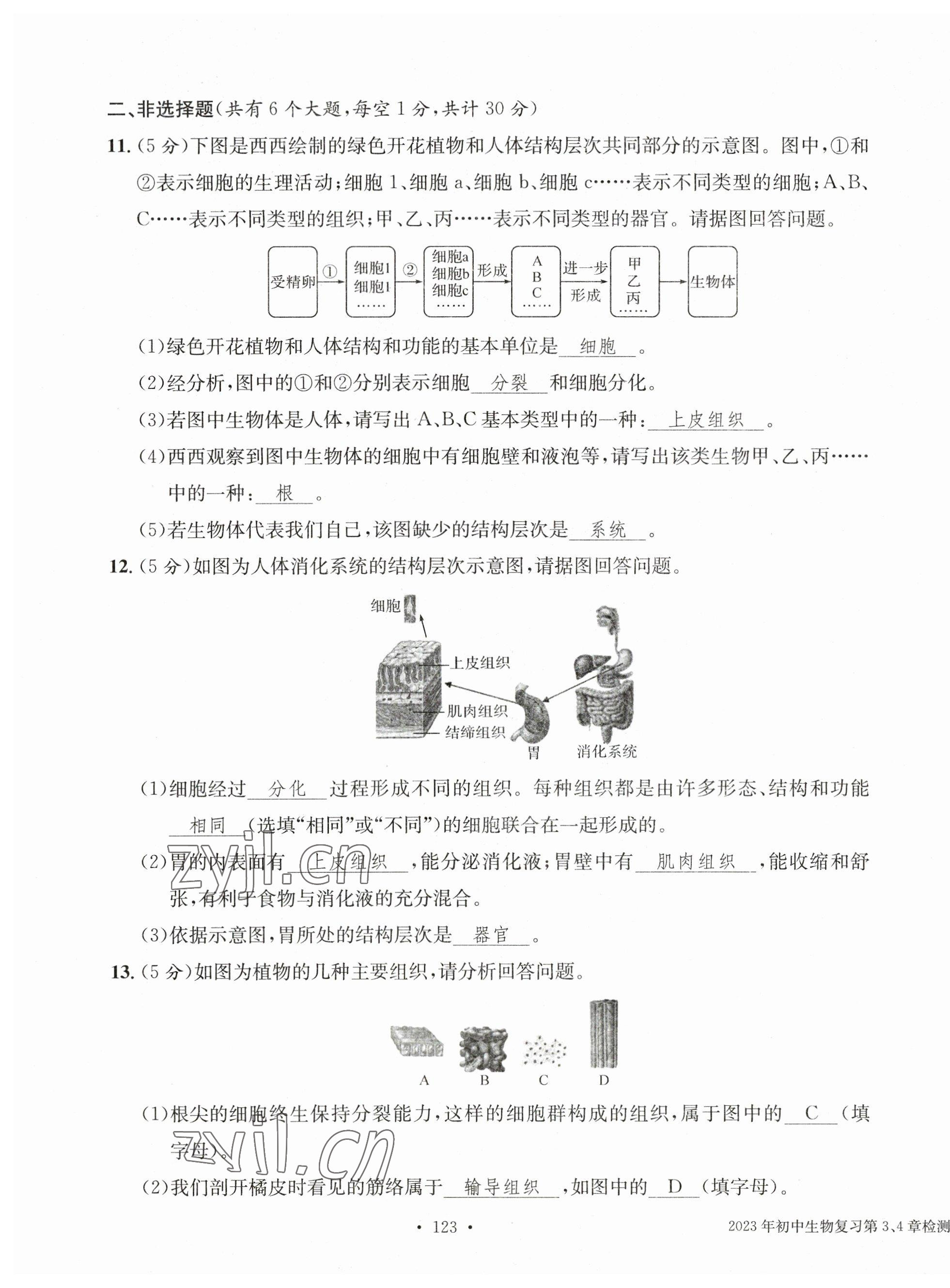 2023年中考總復(fù)習(xí)長江出版社生物 第7頁