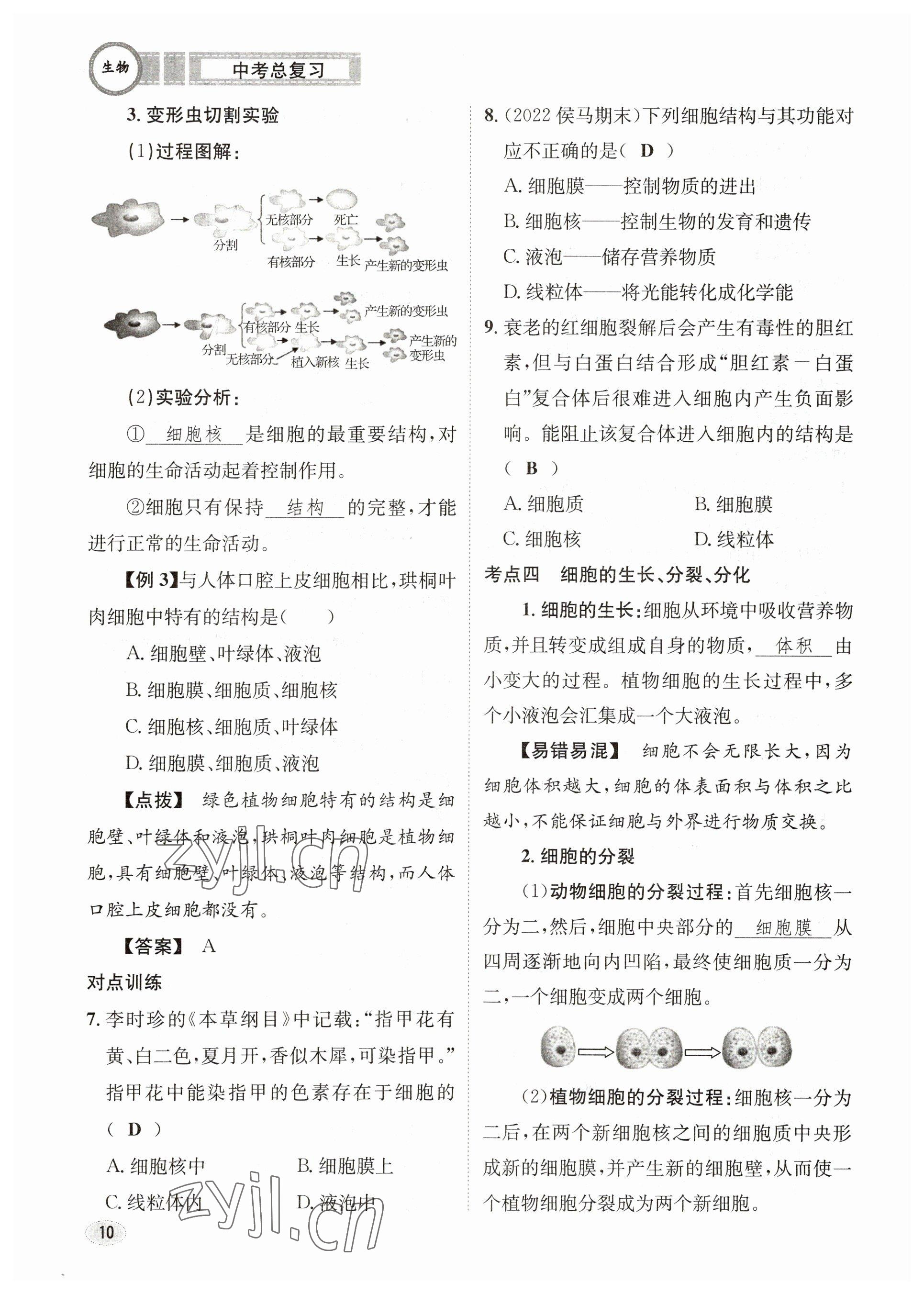 2023年中考總復(fù)習(xí)長(zhǎng)江出版社生物 參考答案第10頁(yè)