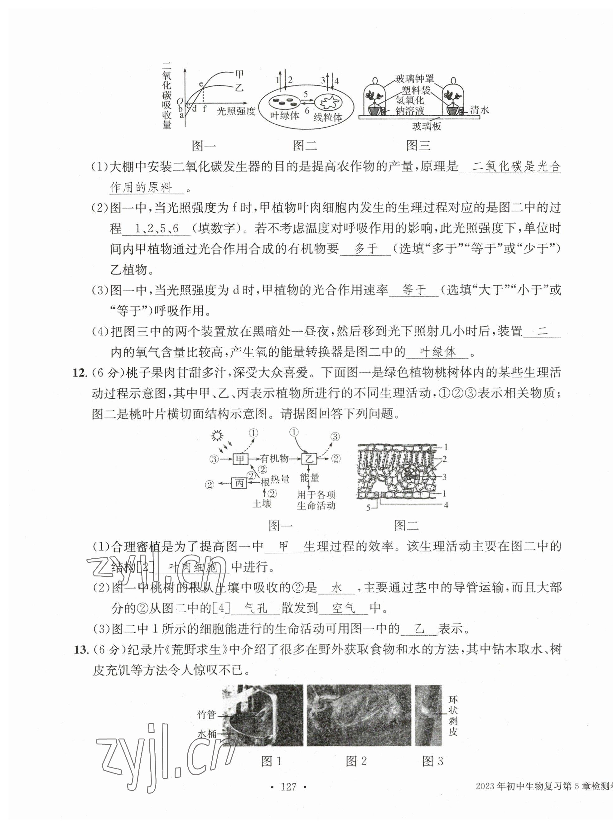 2023年中考總復(fù)習(xí)長江出版社生物 第11頁