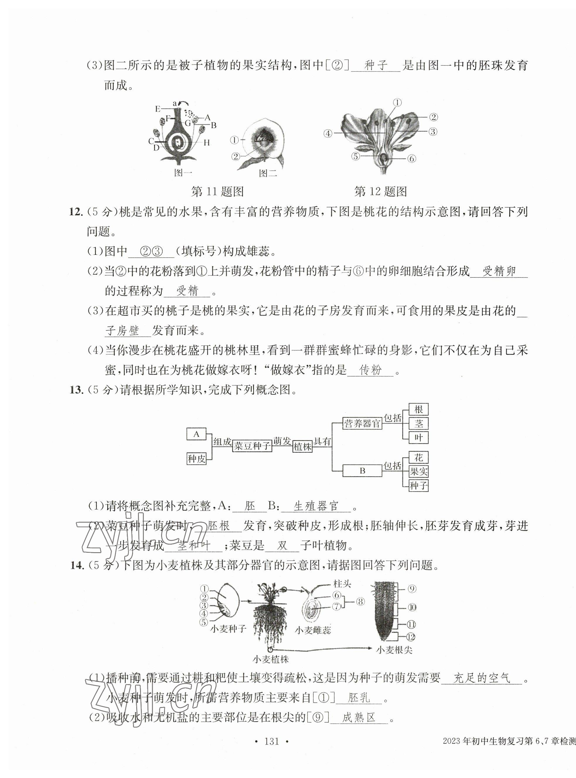 2023年中考總復(fù)習(xí)長江出版社生物 第15頁