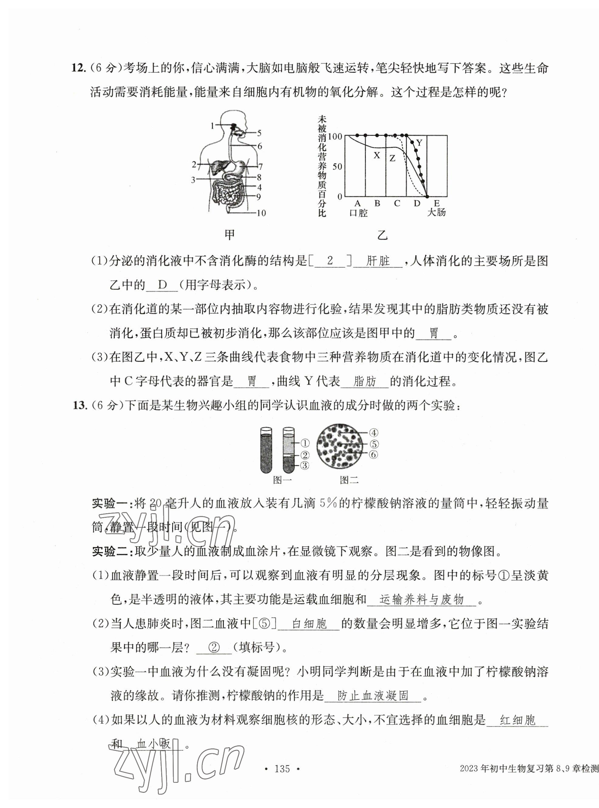 2023年中考總復(fù)習(xí)長(zhǎng)江出版社生物 第19頁