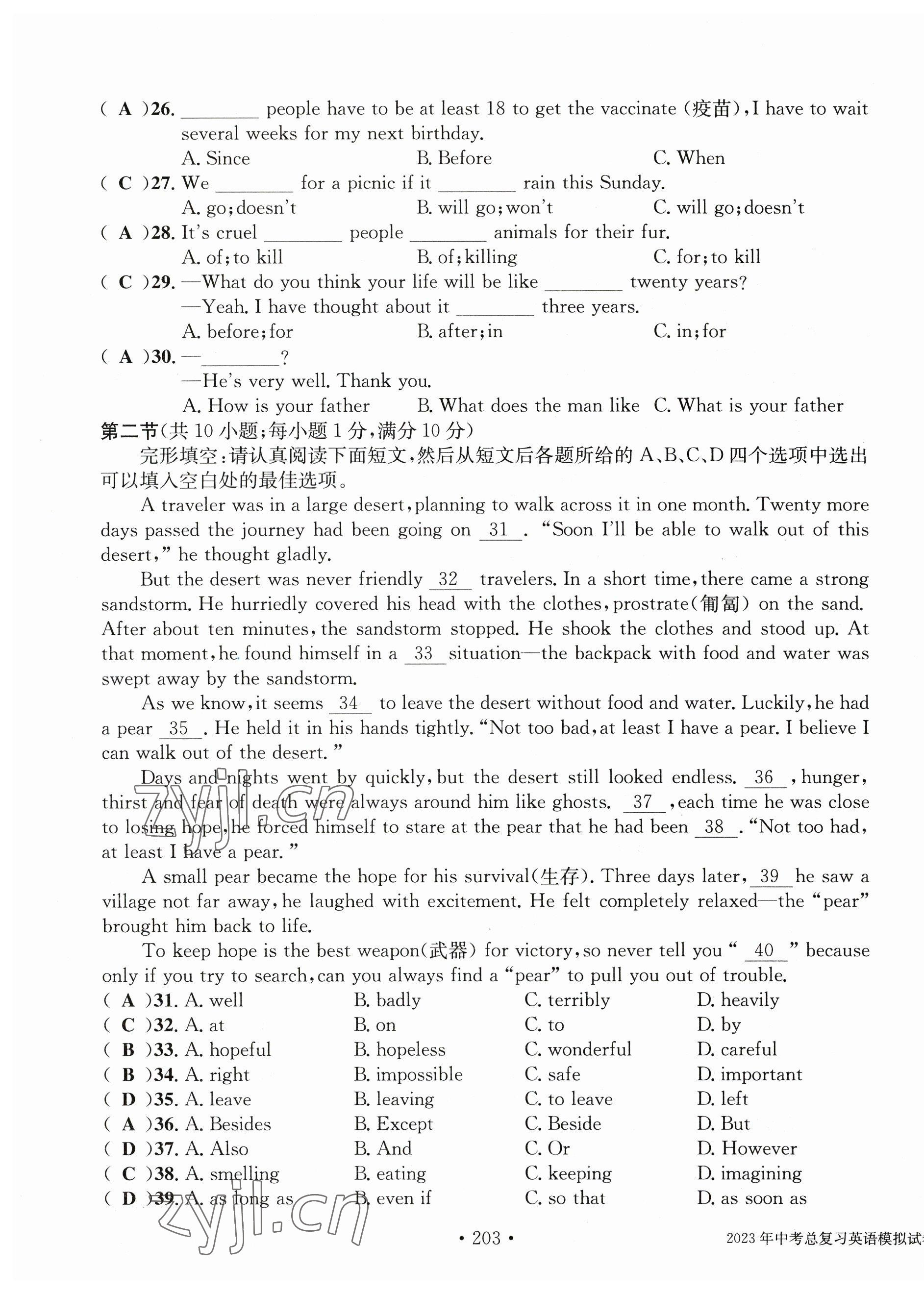 2023年中考總復習長江出版社英語 第11頁