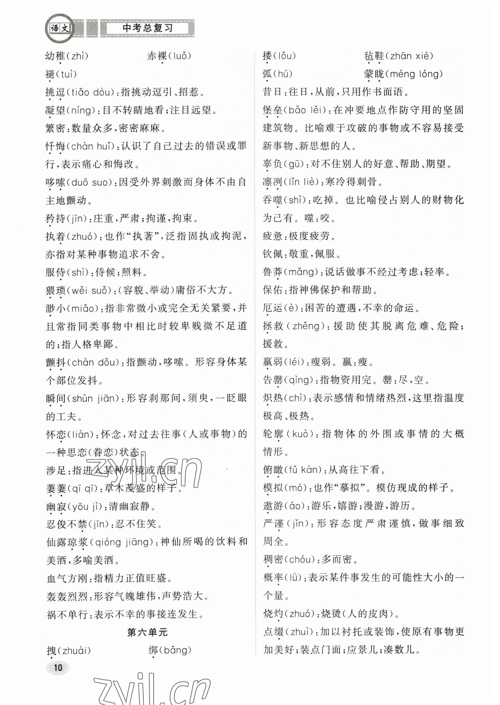 2023年中考總復(fù)習(xí)長江出版社語文 參考答案第10頁