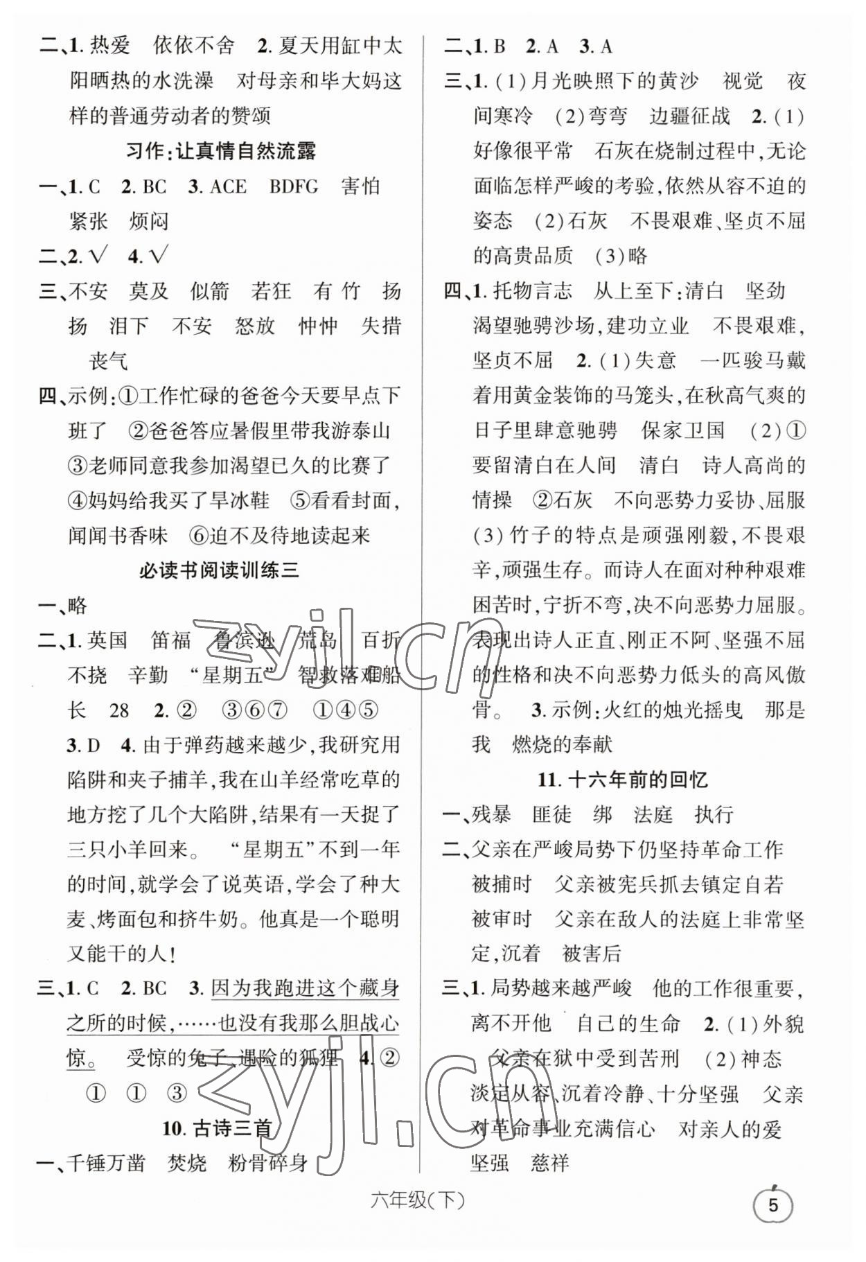 2023年語文要素天天練六年級下冊人教版 參考答案第5頁