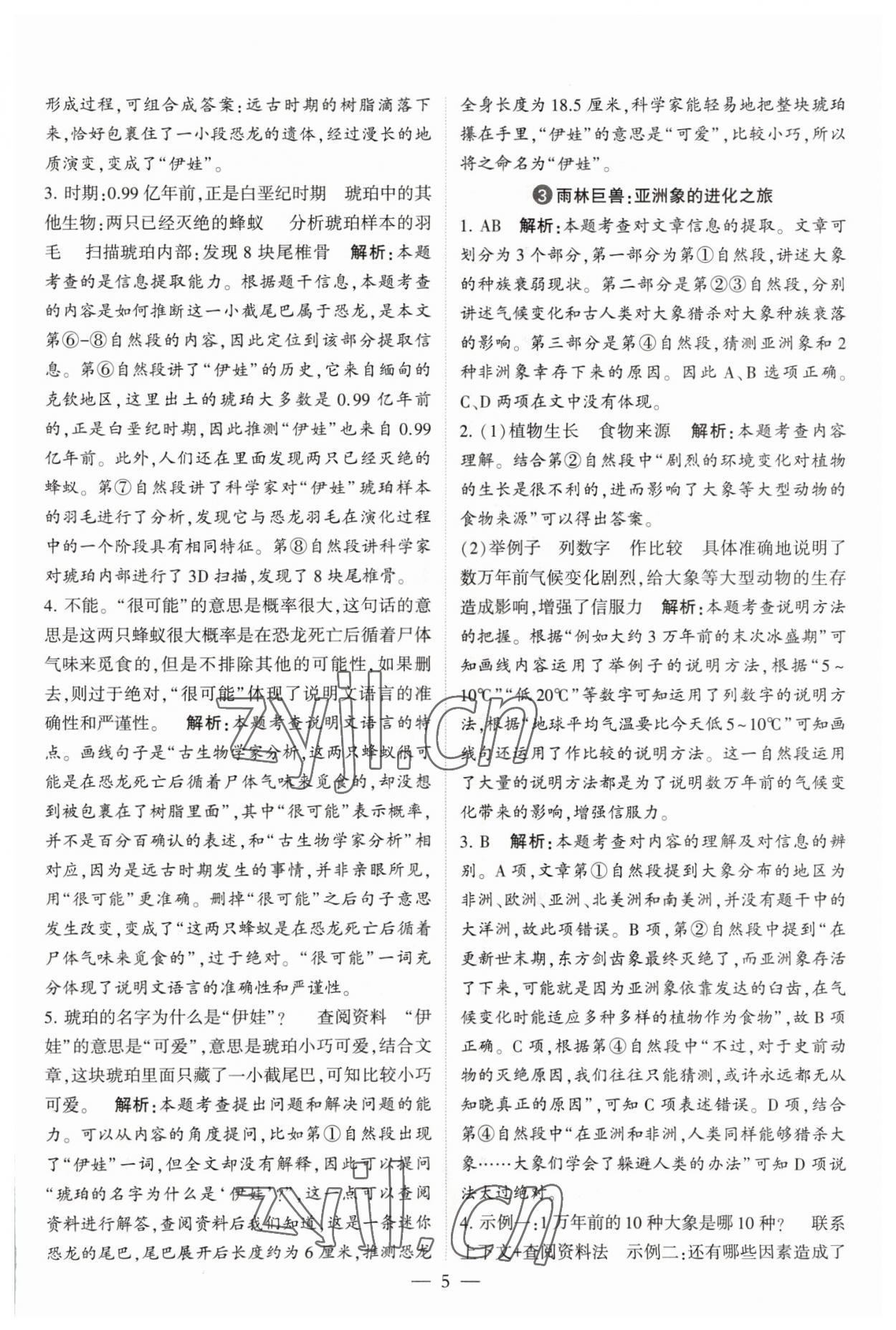 2023年經(jīng)綸學(xué)典學(xué)霸同步閱讀四年級語文下冊人教版 第5頁