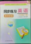 2023年同步練習(xí)江蘇六年級(jí)英語下冊(cè)譯林版