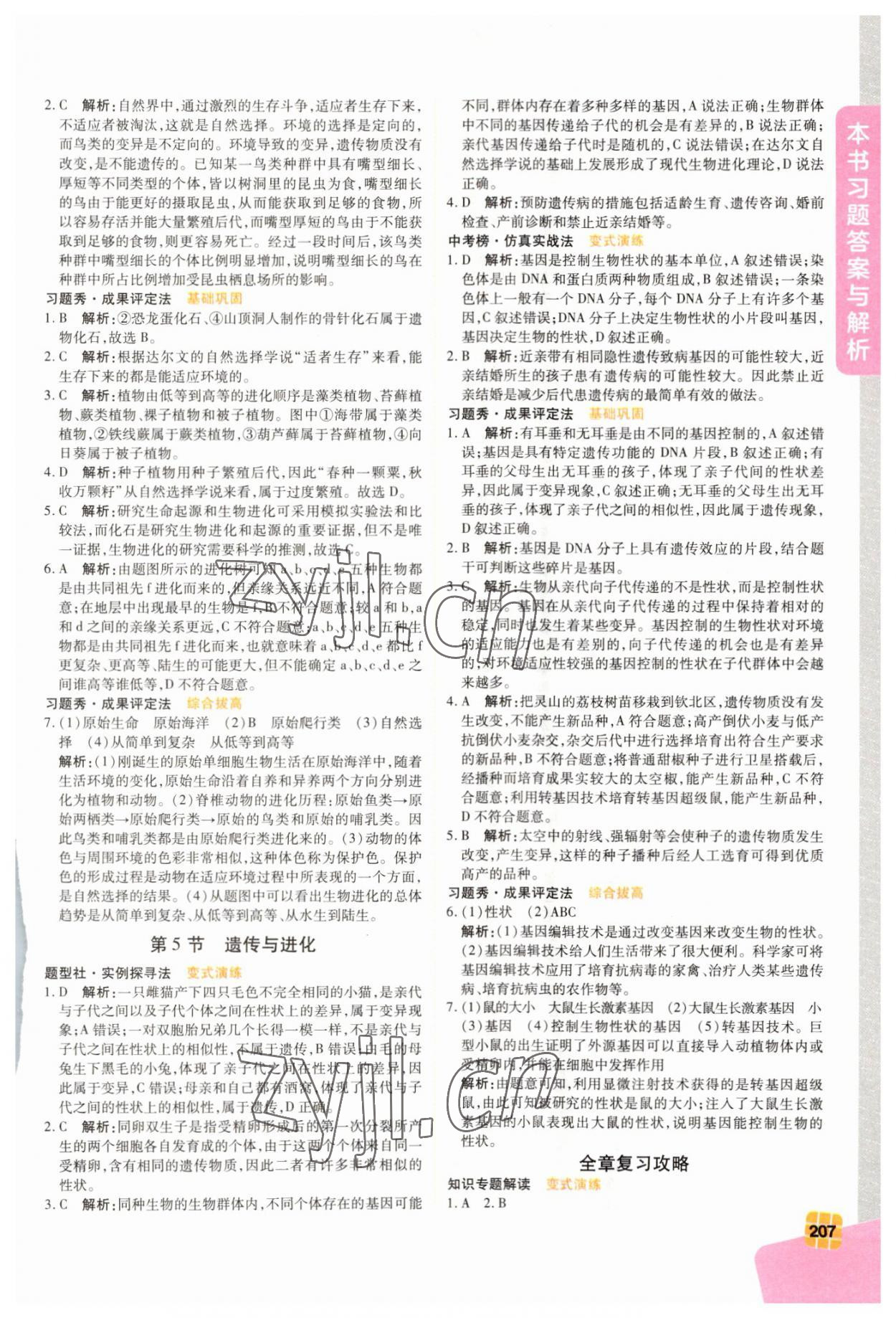 2023年倍速學(xué)習(xí)法九年級科學(xué)下冊浙教版 參考答案第3頁