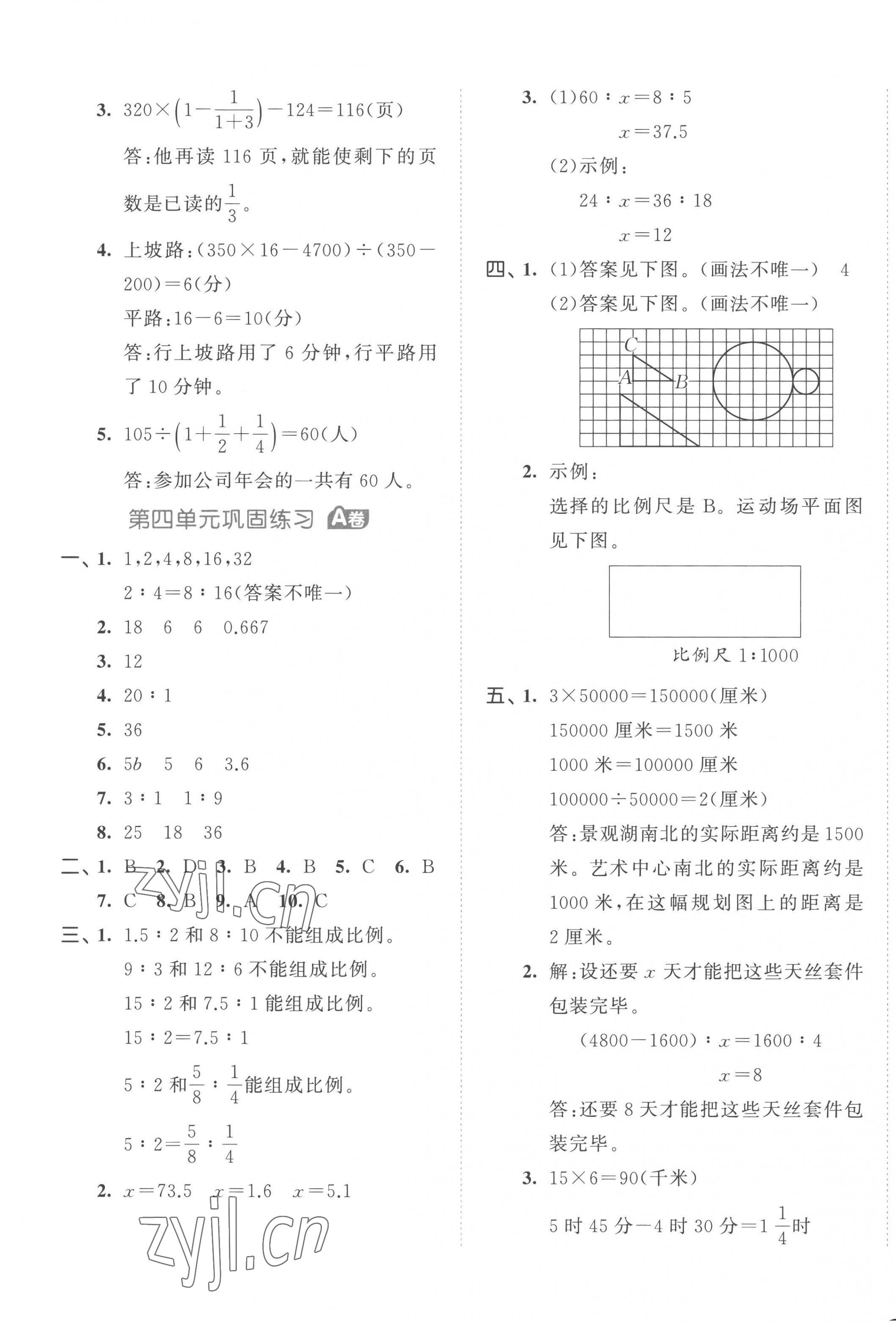 2023年53全優(yōu)卷六年級(jí)數(shù)學(xué)下冊(cè)蘇教版 第5頁(yè)