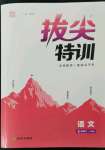 2023年拔尖特訓(xùn)七年級(jí)語文下冊(cè)人教版