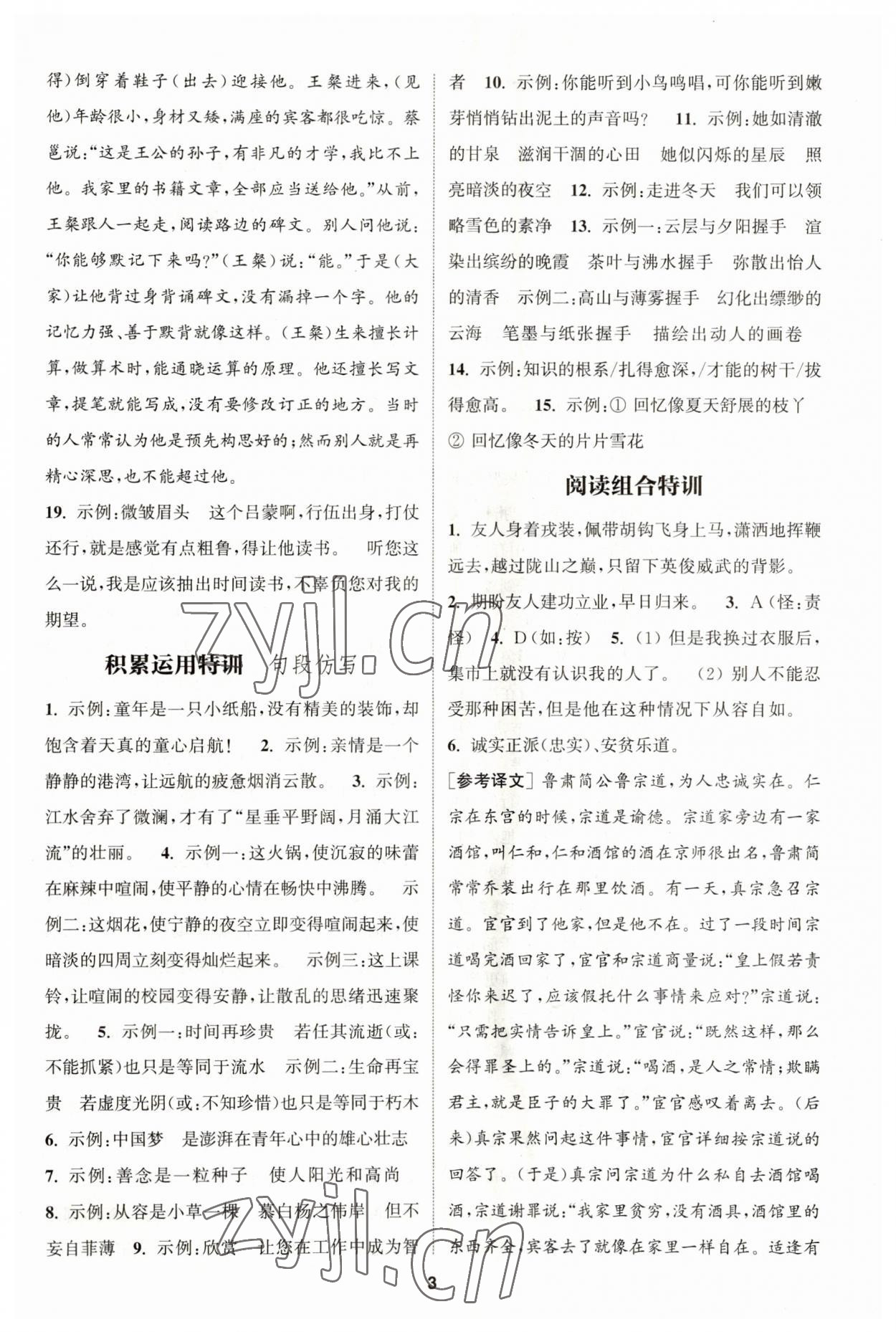 2023年拔尖特訓(xùn)七年級語文下冊人教版 第3頁