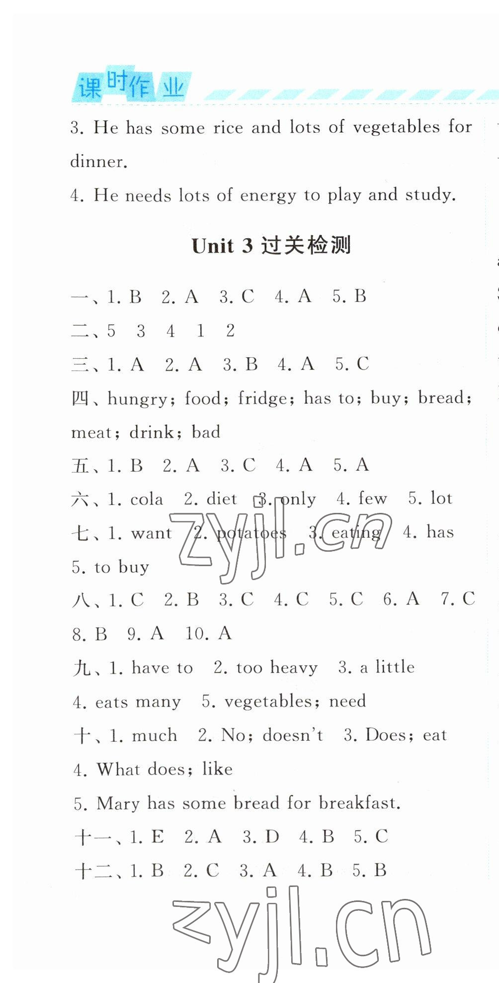 2023年經(jīng)綸學(xué)典課時(shí)作業(yè)六年級英語下冊譯林版 第10頁