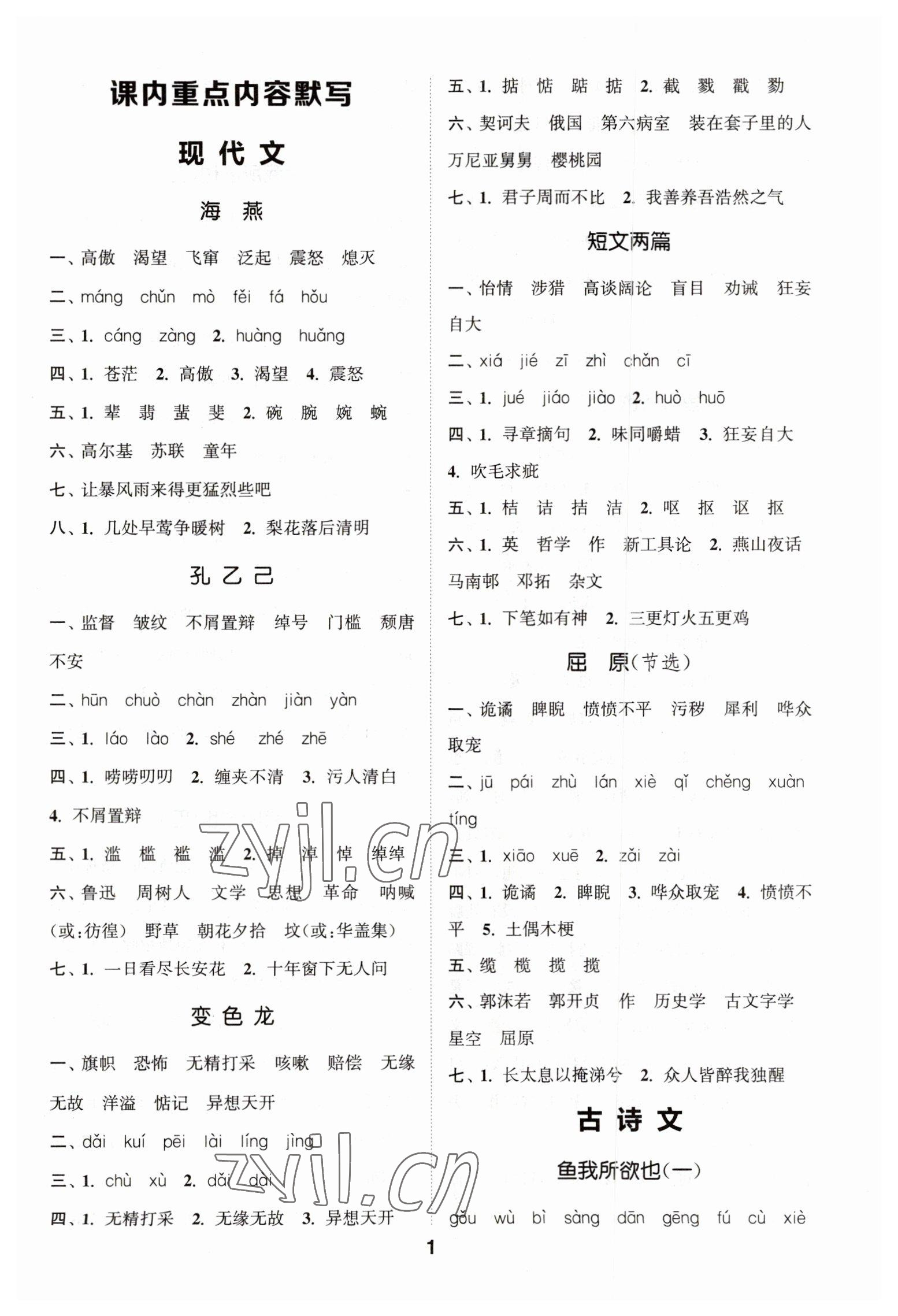 2023年通城學(xué)典初中語(yǔ)文默寫能手九年級(jí)下冊(cè)人教版 第1頁(yè)