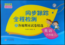 2023年同步跟蹤全程檢測(cè)六年級(jí)英語(yǔ)下冊(cè)譯林版