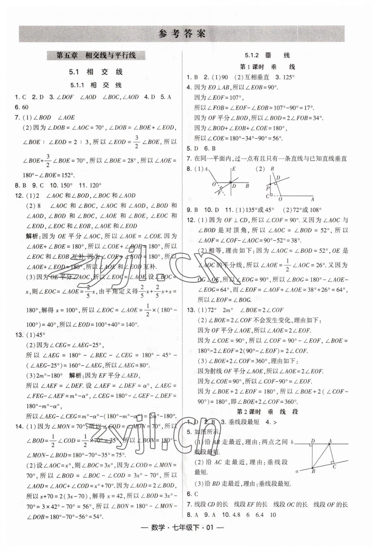 2023年經(jīng)綸學(xué)典課時作業(yè)七年級數(shù)學(xué)下冊人教版 第1頁