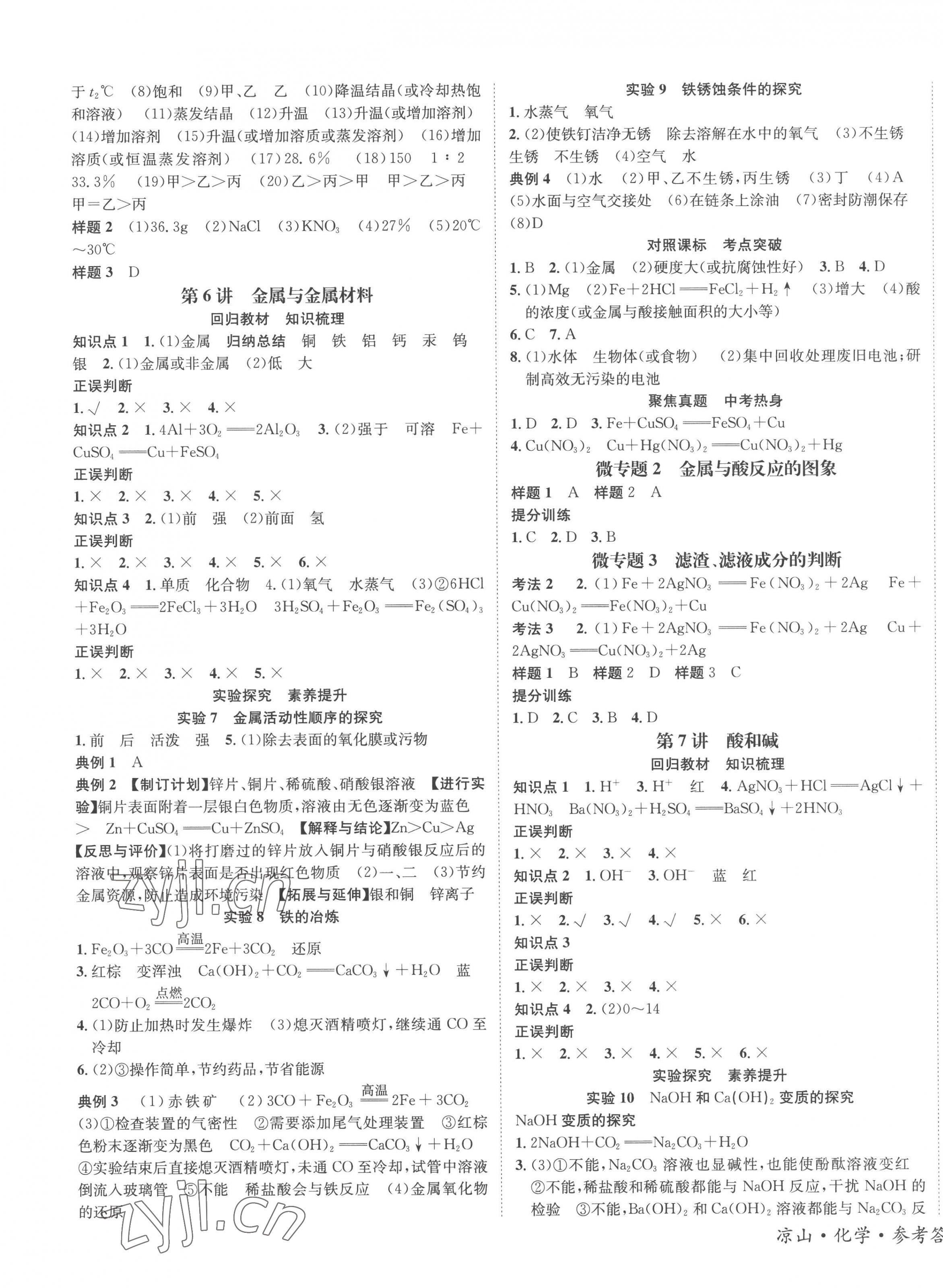 2023年国华考试中考总动员化学凉山专版 第3页