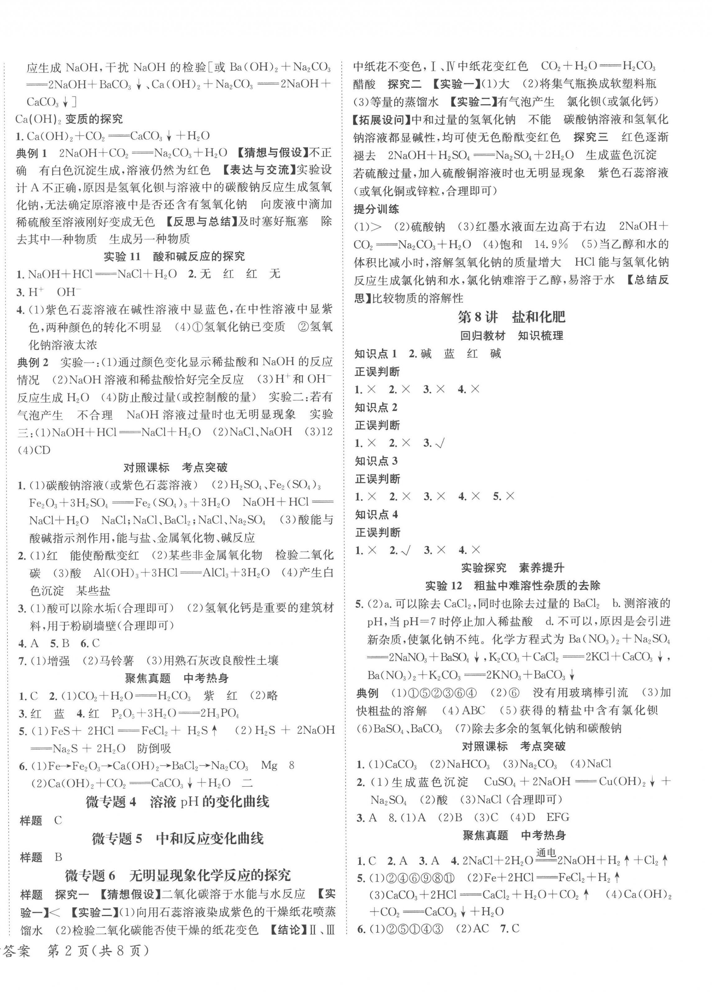 2023年国华考试中考总动员化学凉山专版 第4页