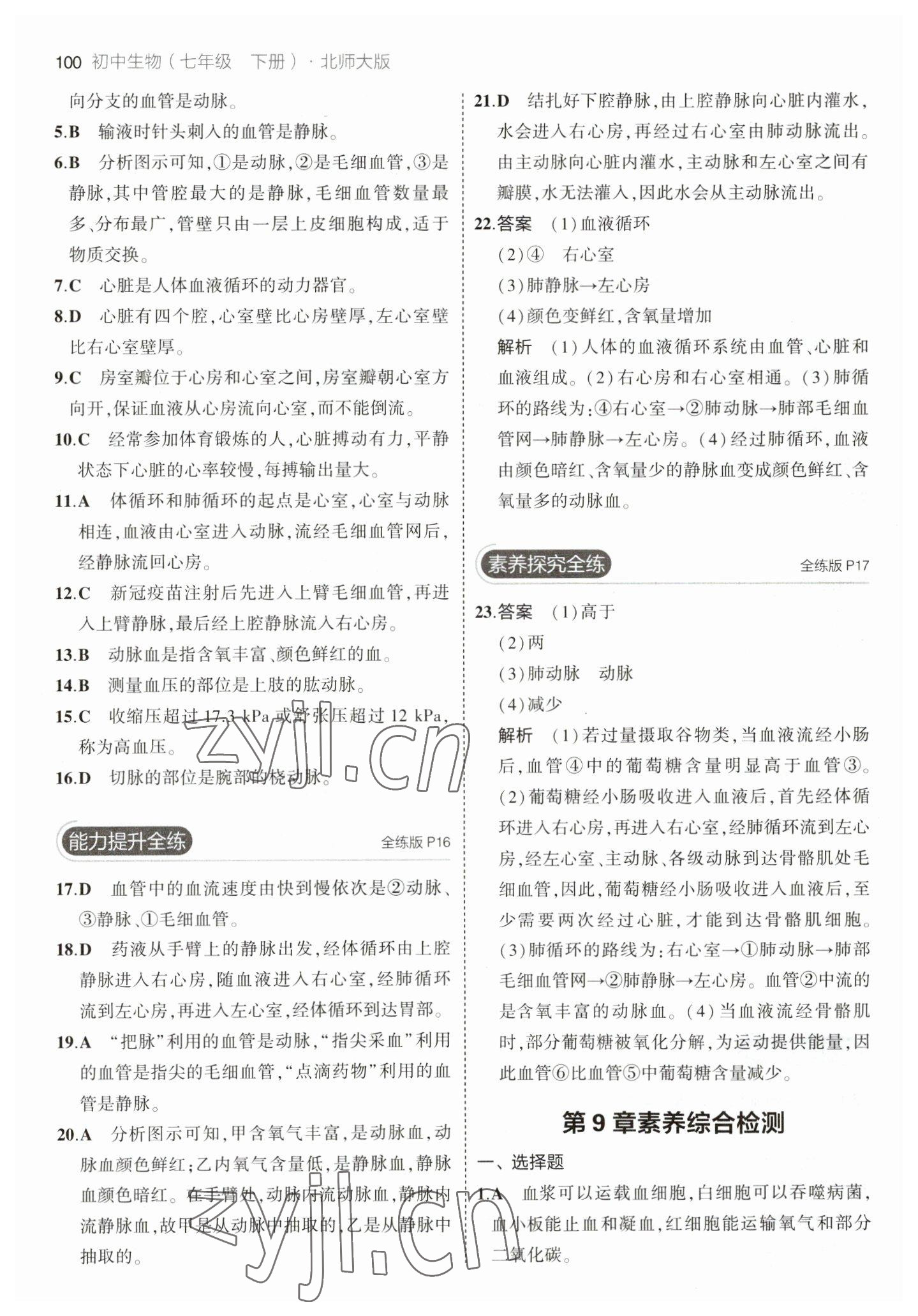 2023年5年中考3年模拟初中生物七年级下册北师大版 参考答案第6页