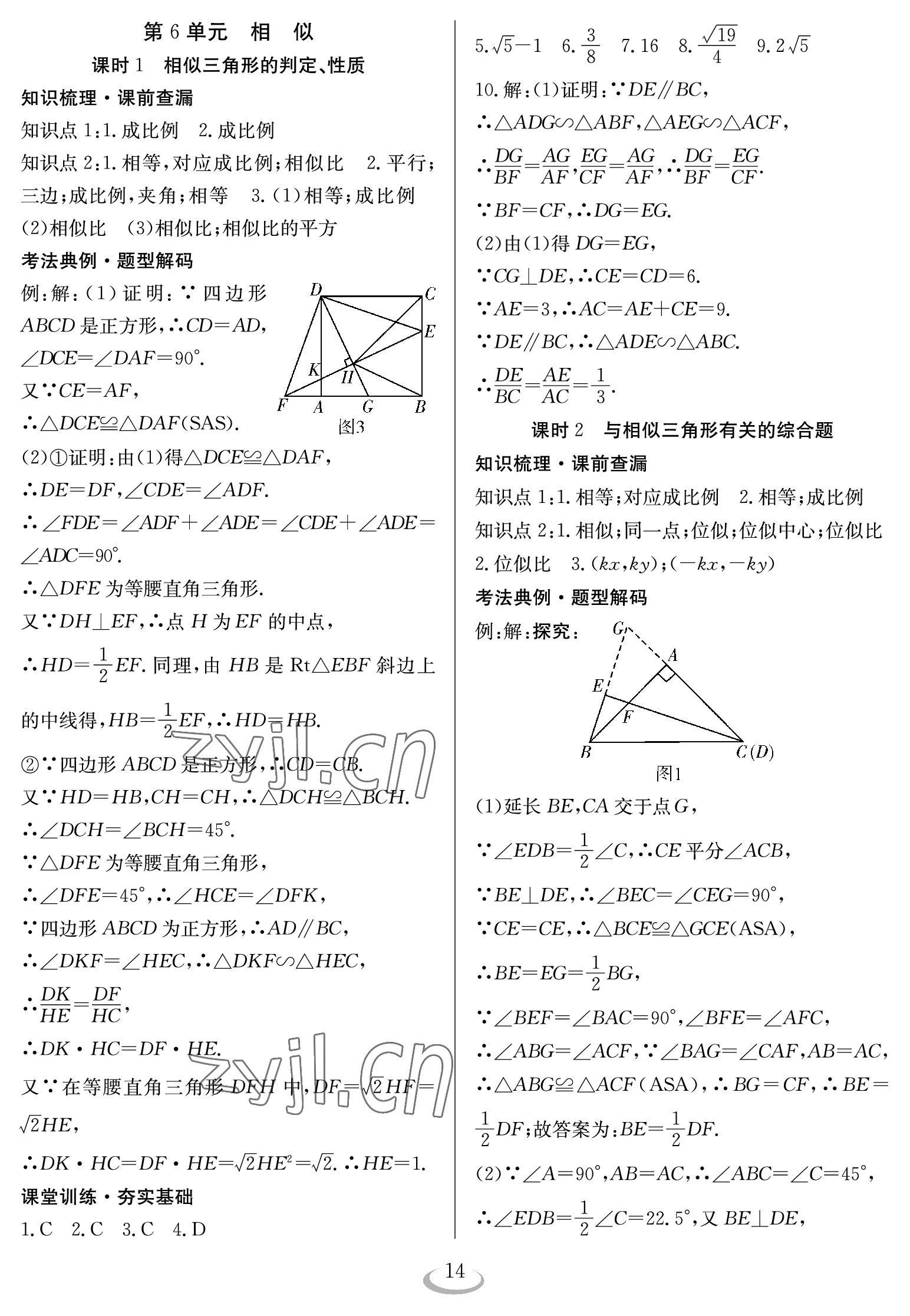 2023年中考復(fù)習(xí)指南長(zhǎng)江少年兒童出版社數(shù)學(xué) 參考答案第14頁(yè)