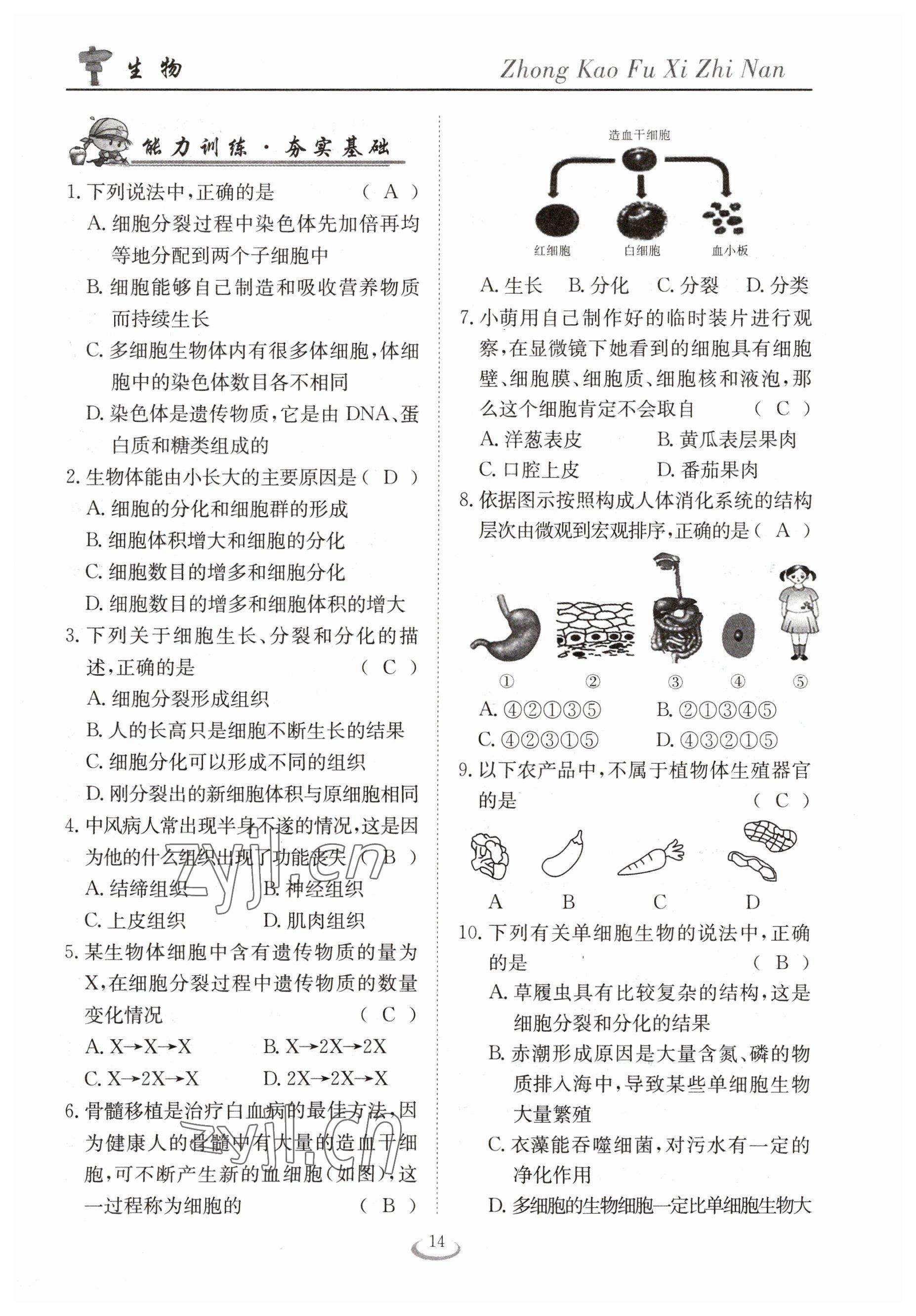 2023年中考復(fù)習(xí)指南長江少年兒童出版社生物十堰專版 參考答案第14頁