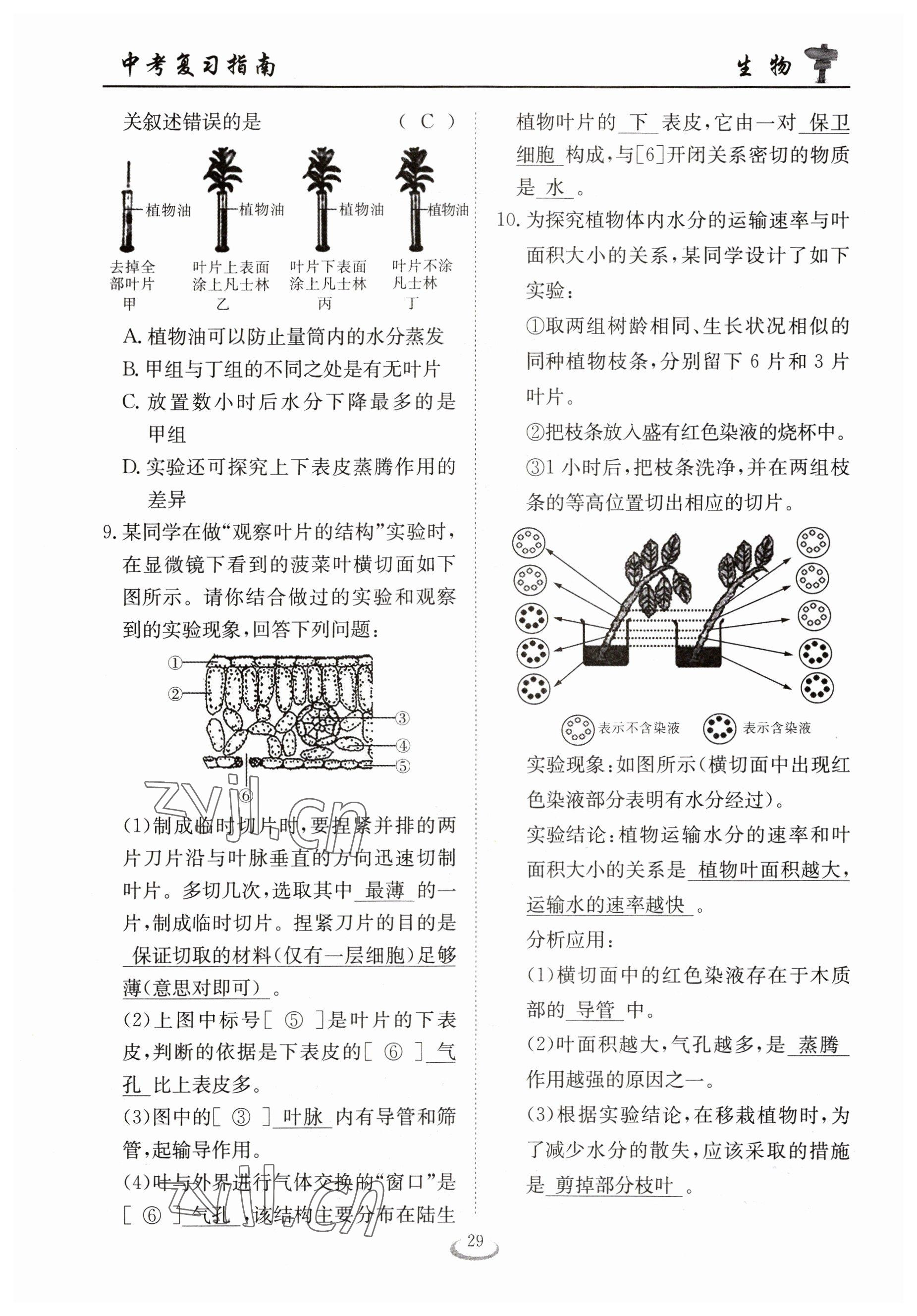 2023年中考復(fù)習(xí)指南長江少年兒童出版社生物十堰專版 參考答案第29頁