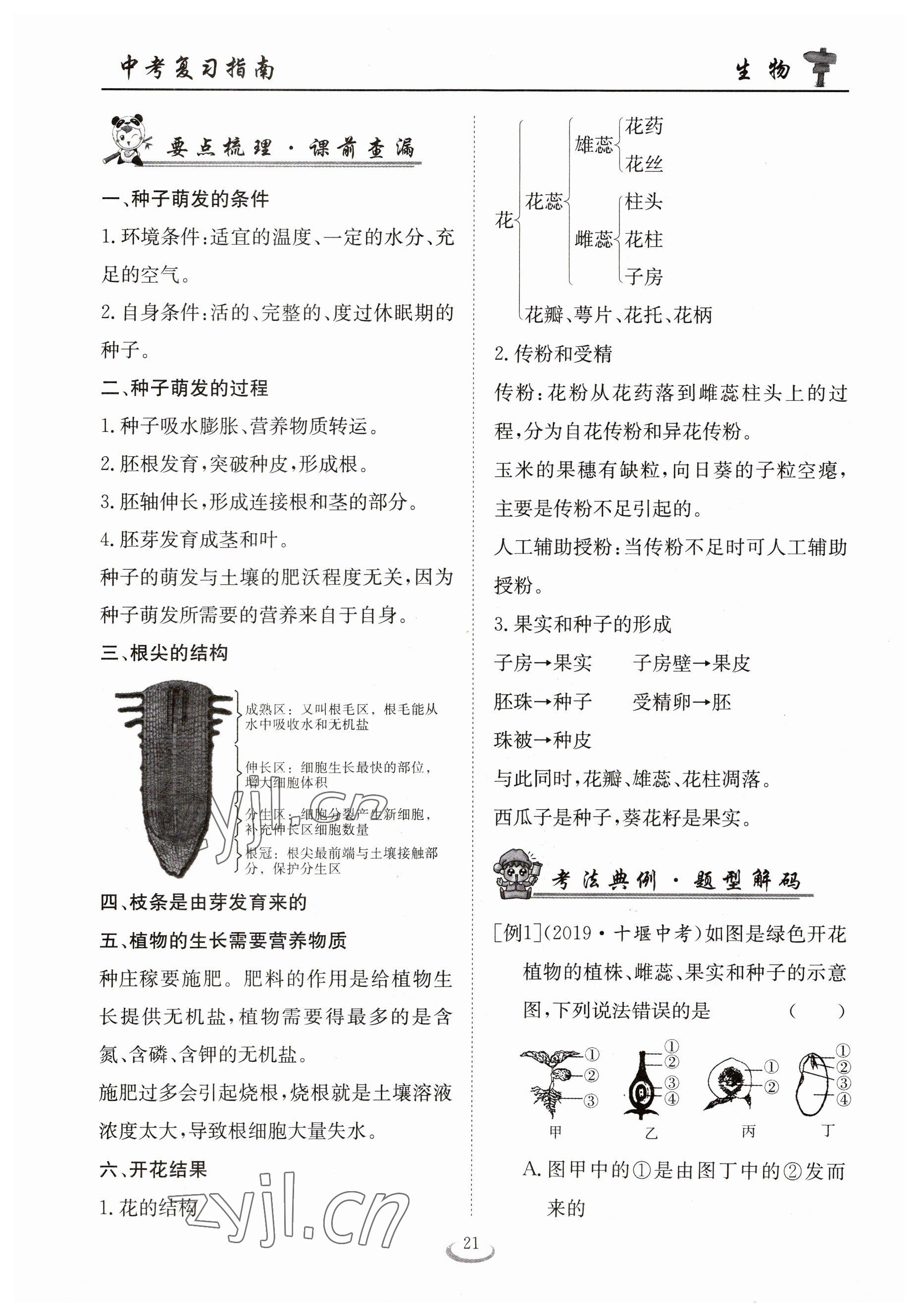 2023年中考復(fù)習(xí)指南長(zhǎng)江少年兒童出版社生物十堰專版 參考答案第21頁(yè)